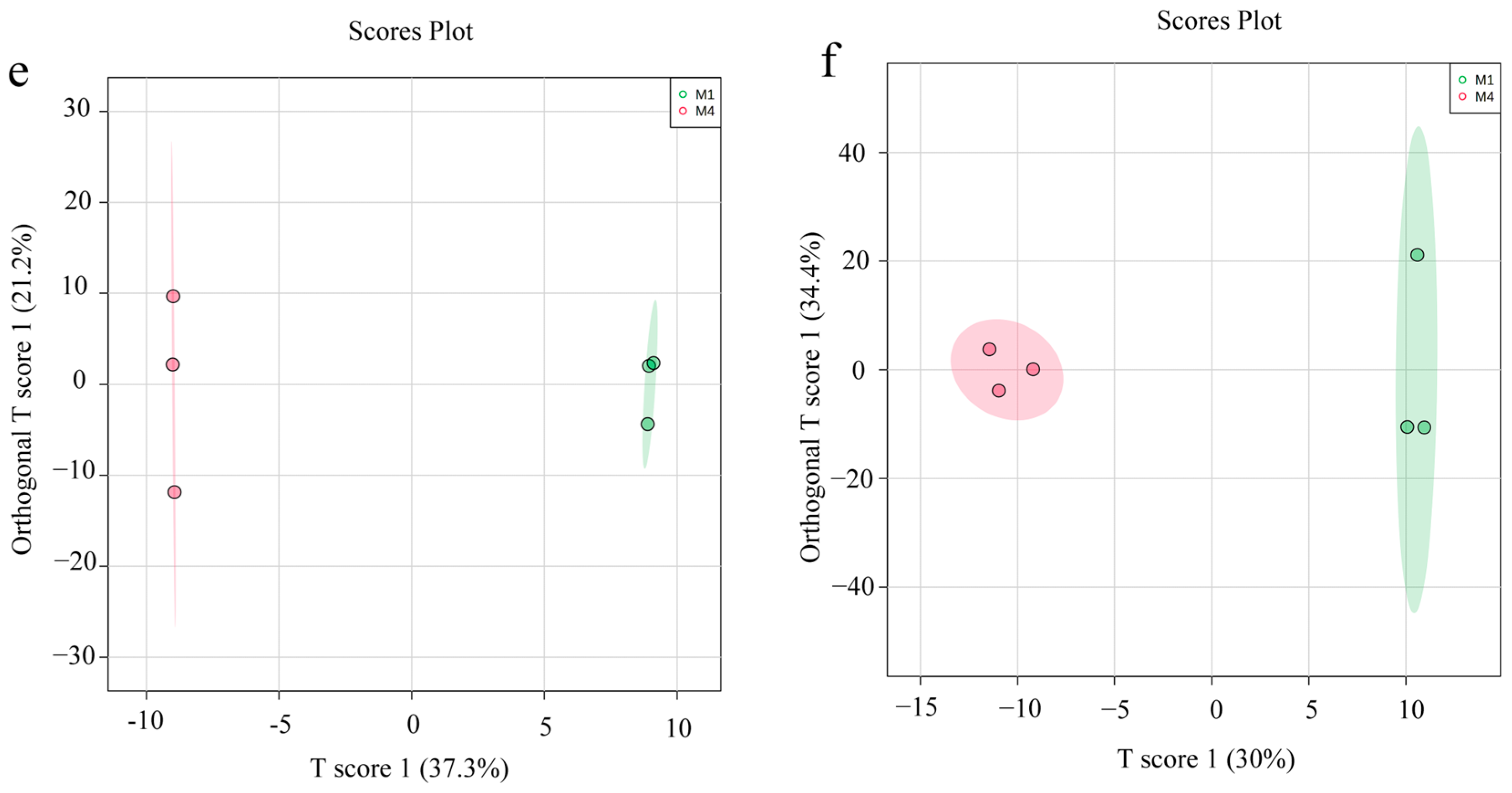 Foods 12 01751 g005b