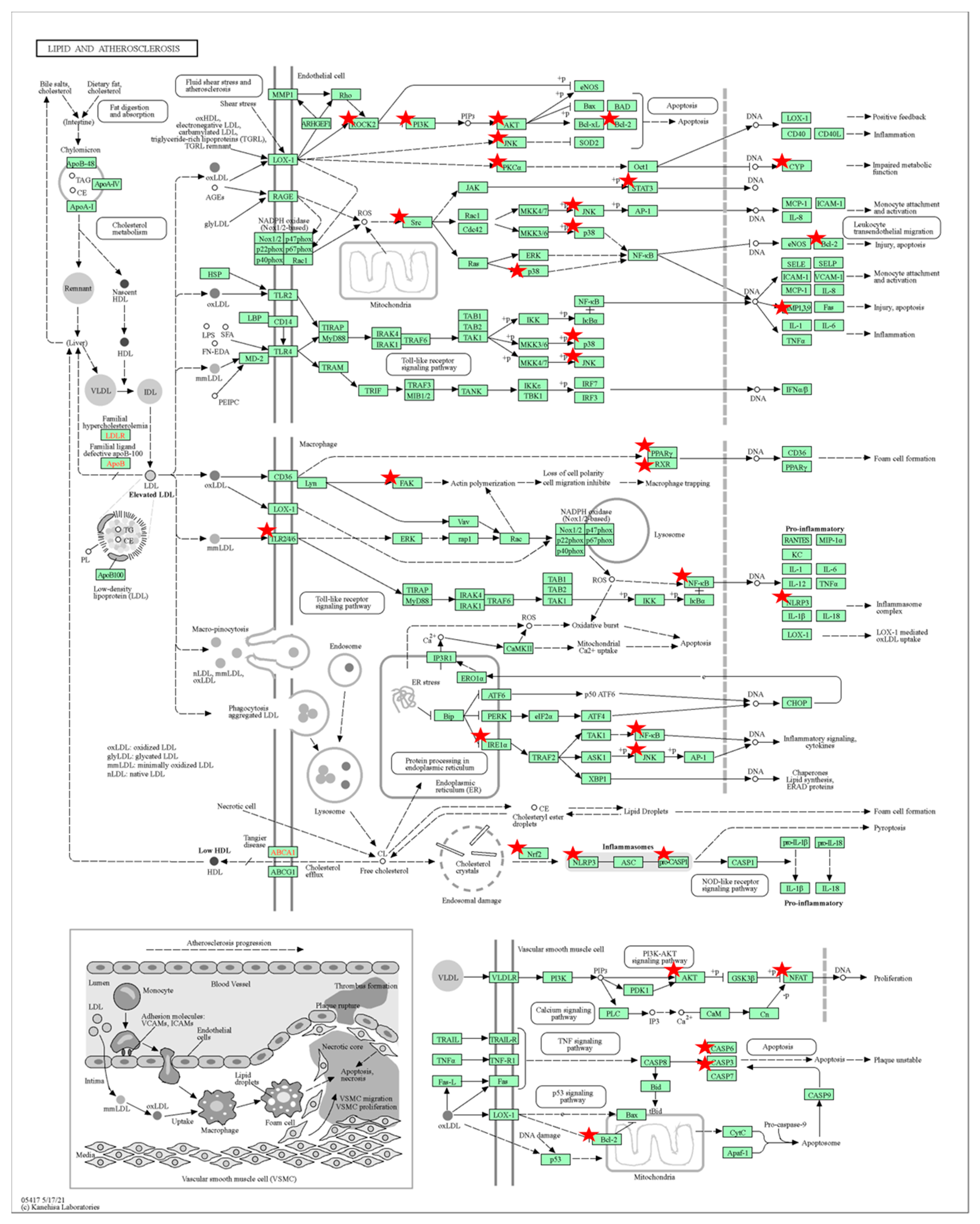 Foods 12 01779 g008 Foods 12 01779 g008