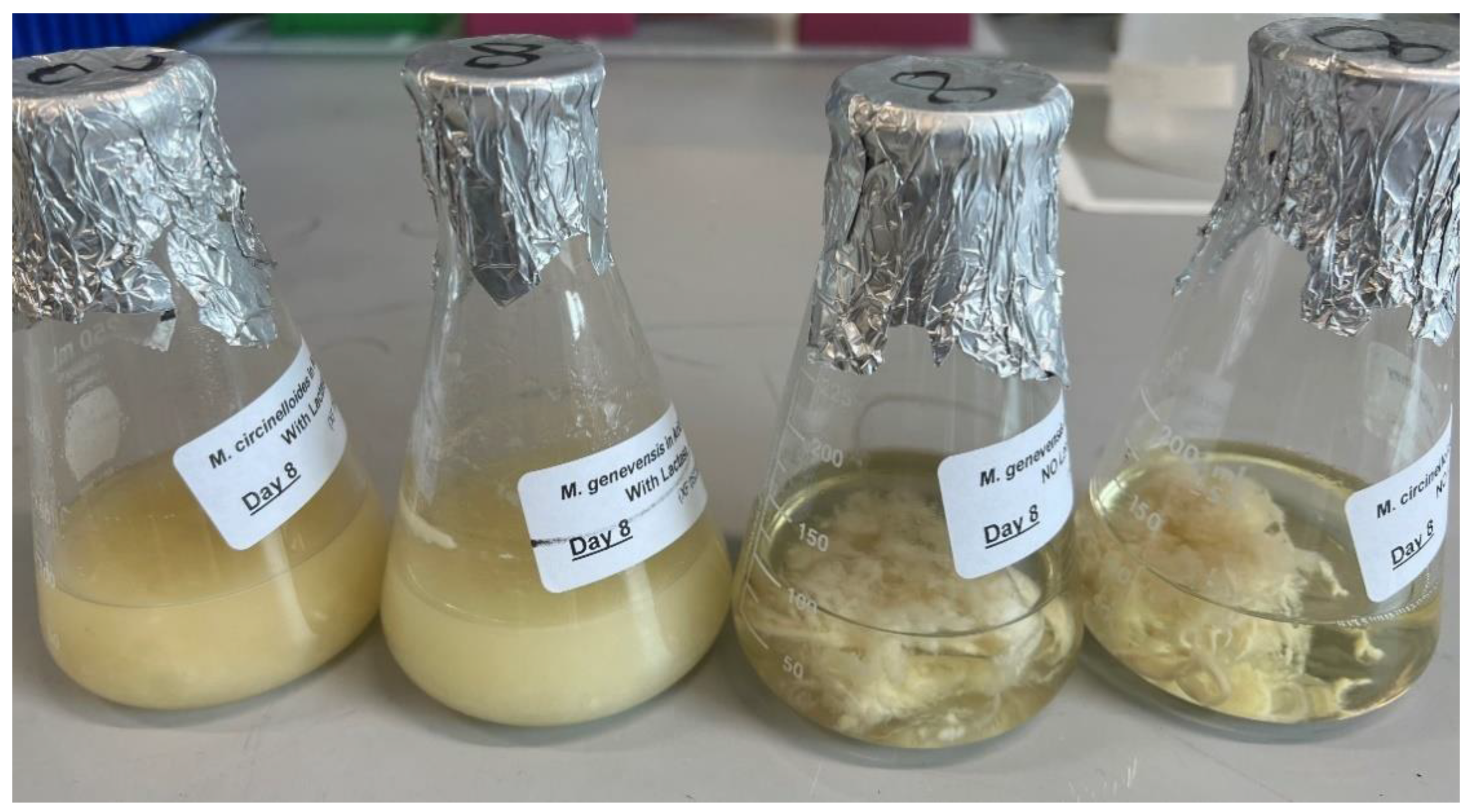 Foods 12 01784 g007 Foods 12 01784 g007