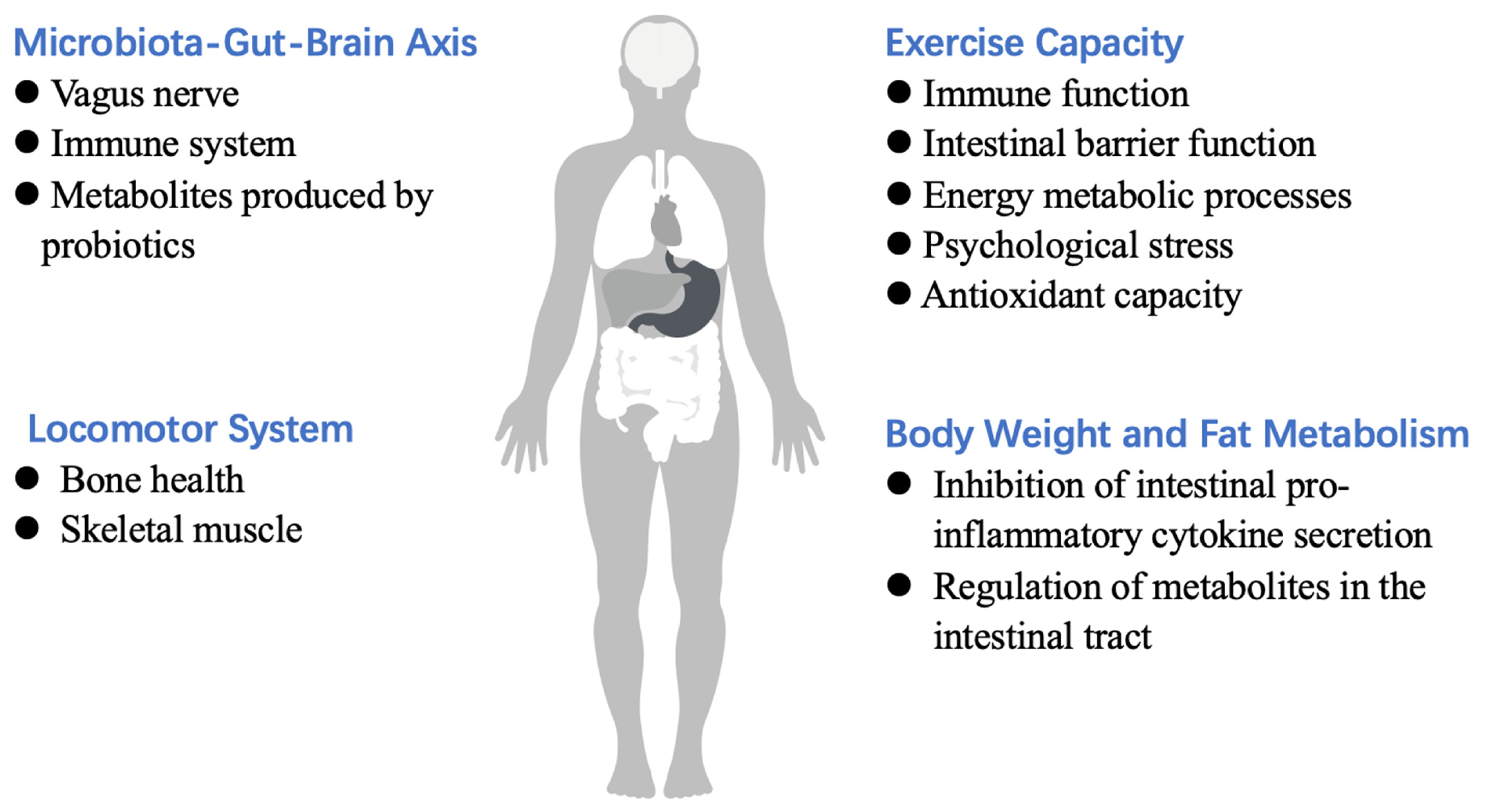 Foods | Free Full-Text | Effects of Probiotic Supplementation on Exercise  and the Underlying Mechanisms