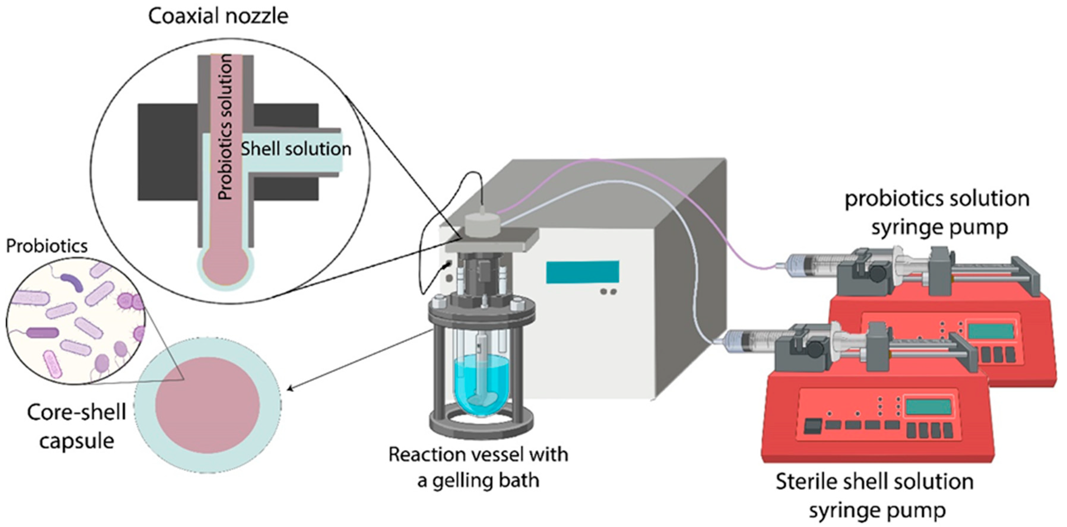 Foods 12 01788 g002 Foods 12 01788 g002