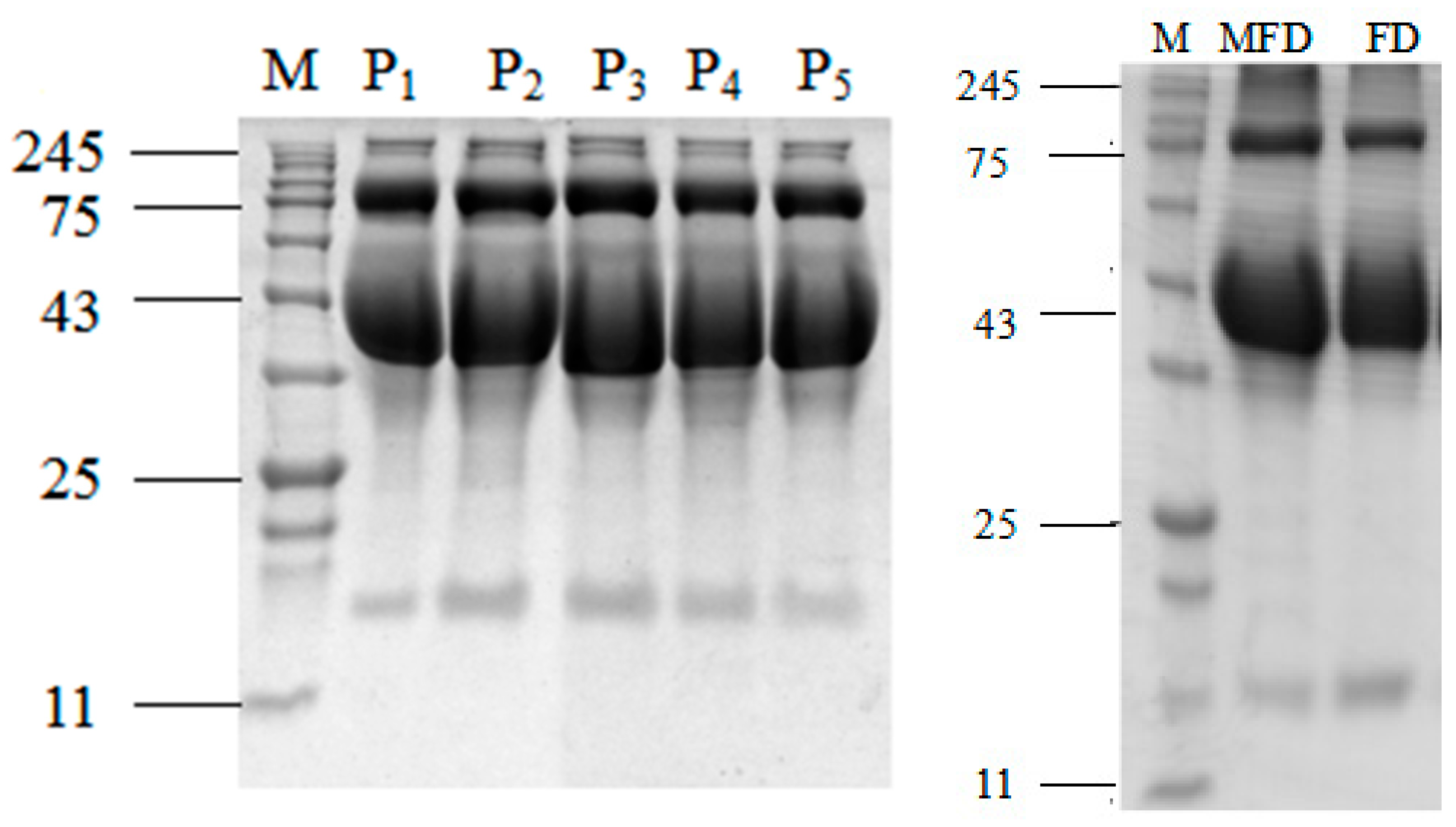 Foods 12 01792 g003 Foods 12 01792 g003