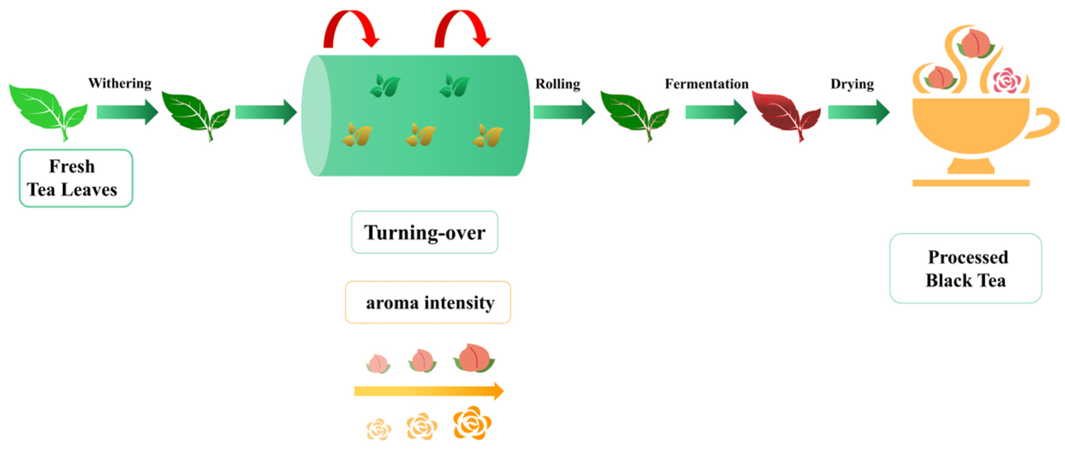Foods 12 01794 g001 Foods 12 01794 g001