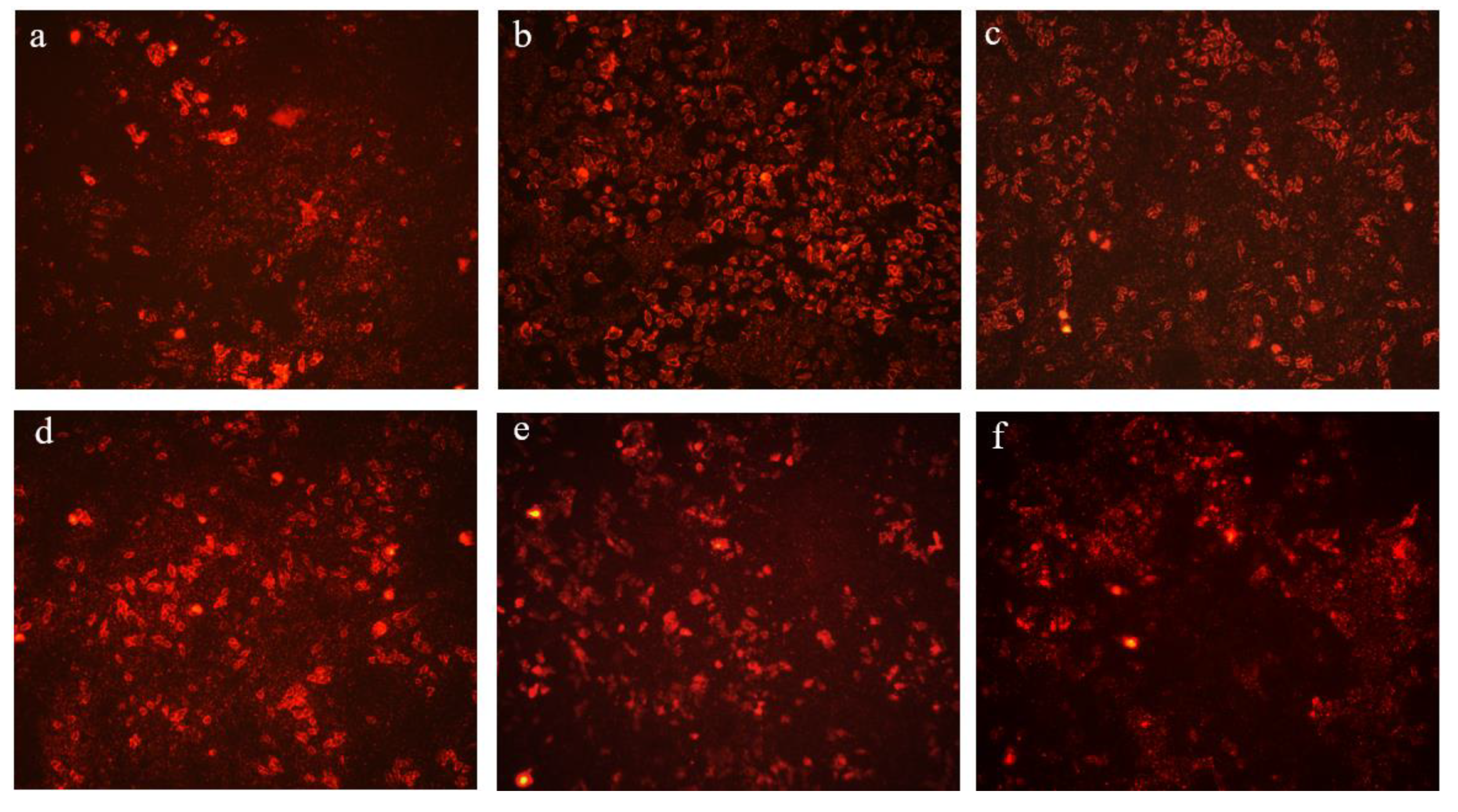 Foods 12 01863 g004 Foods 12 01863 g004