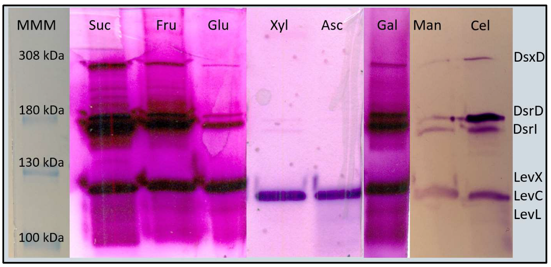 Foods 12 01893 g002 Foods 12 01893 g002