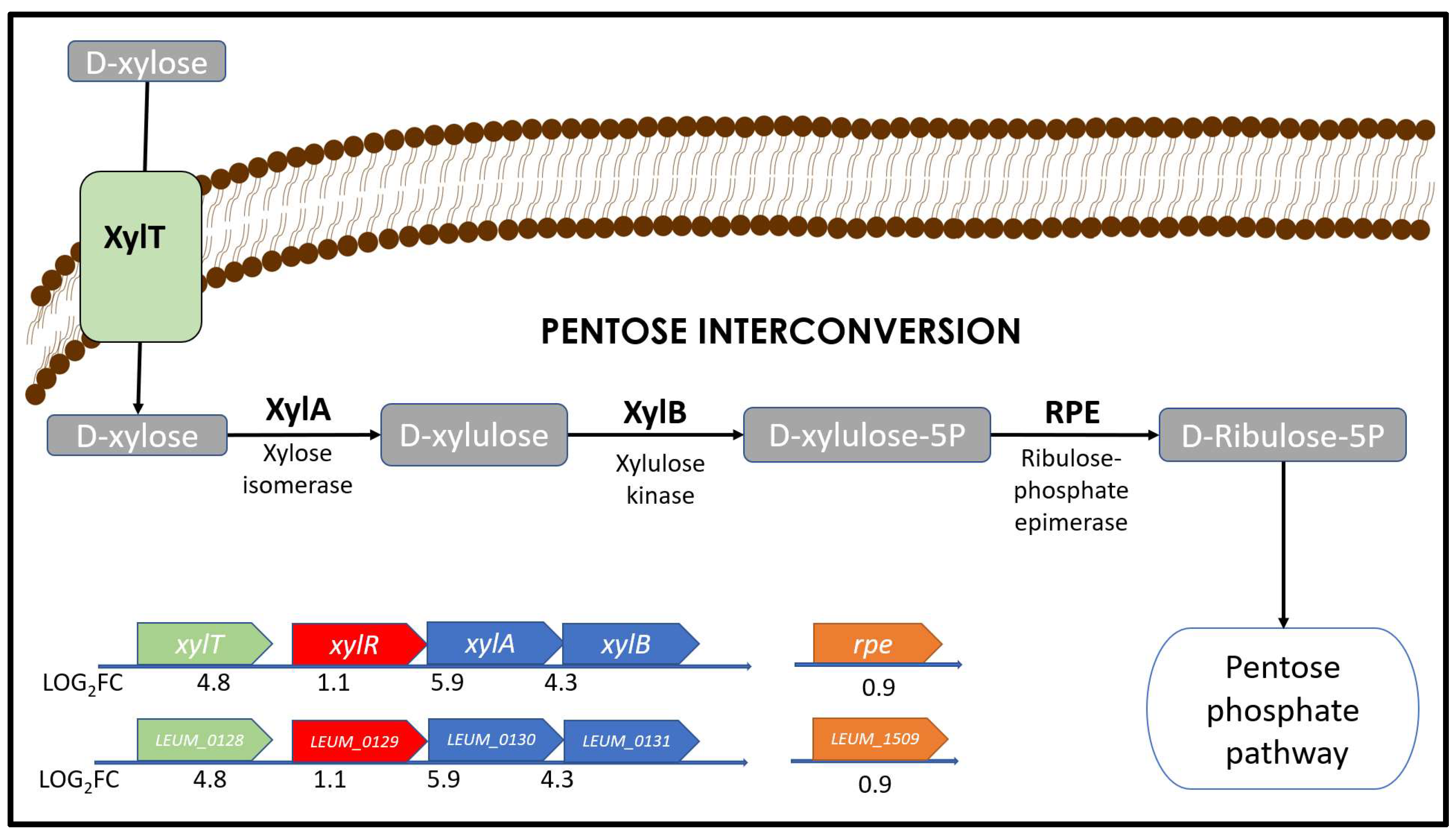 Foods 12 01893 g003 Foods 12 01893 g003