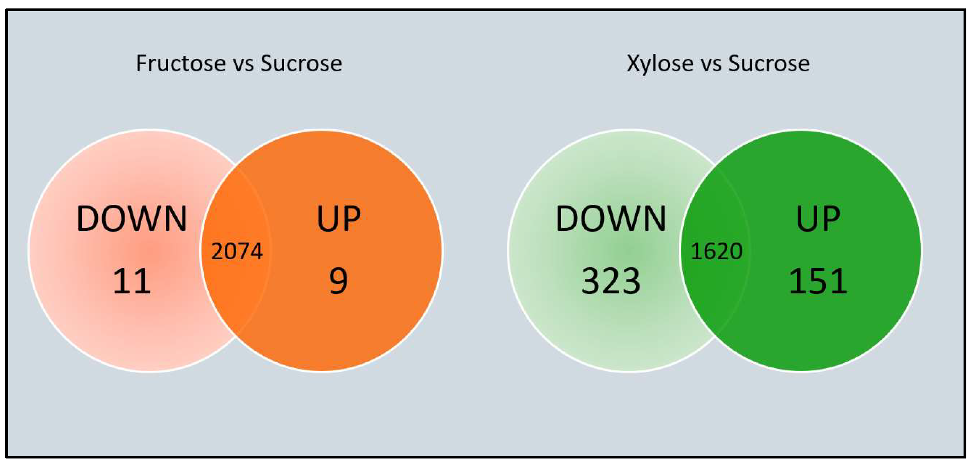 Foods 12 01893 g004 Foods 12 01893 g004