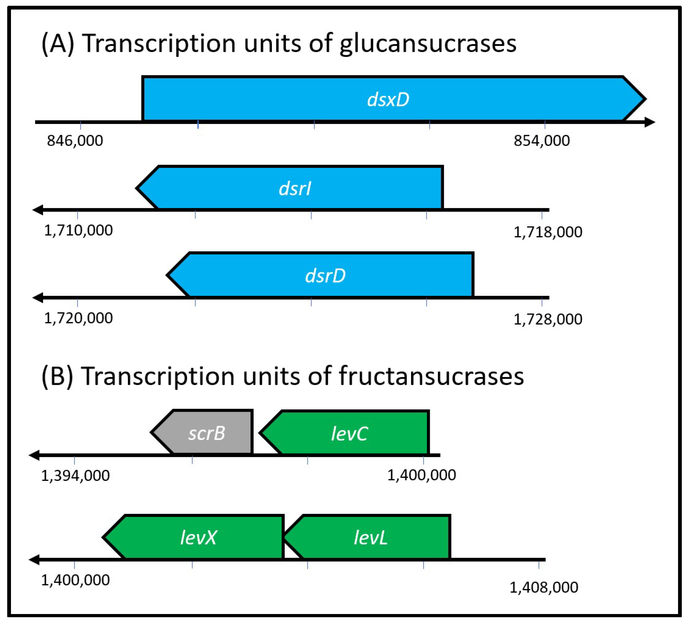 Foods 12 01893 g005 Foods 12 01893 g005