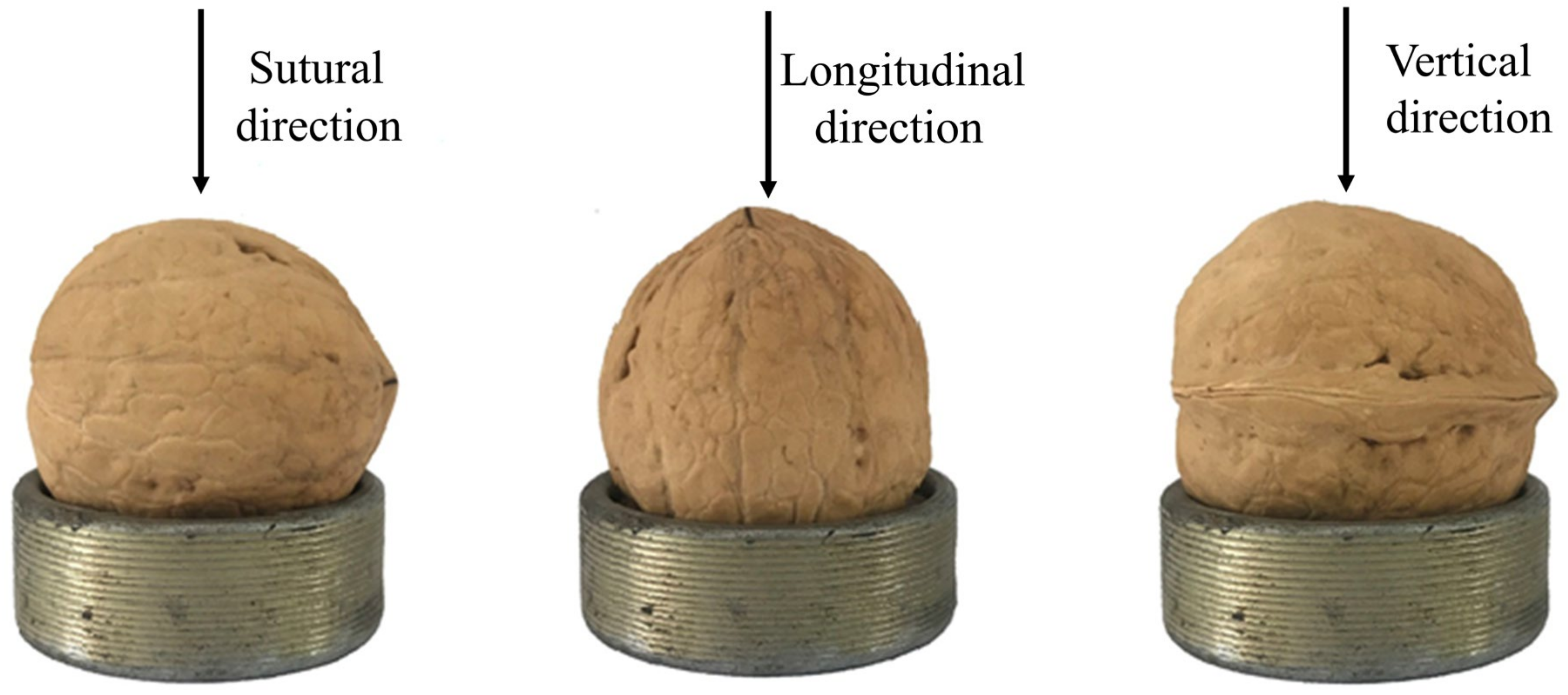 Foods 12 01897 g002 Foods 12 01897 g002