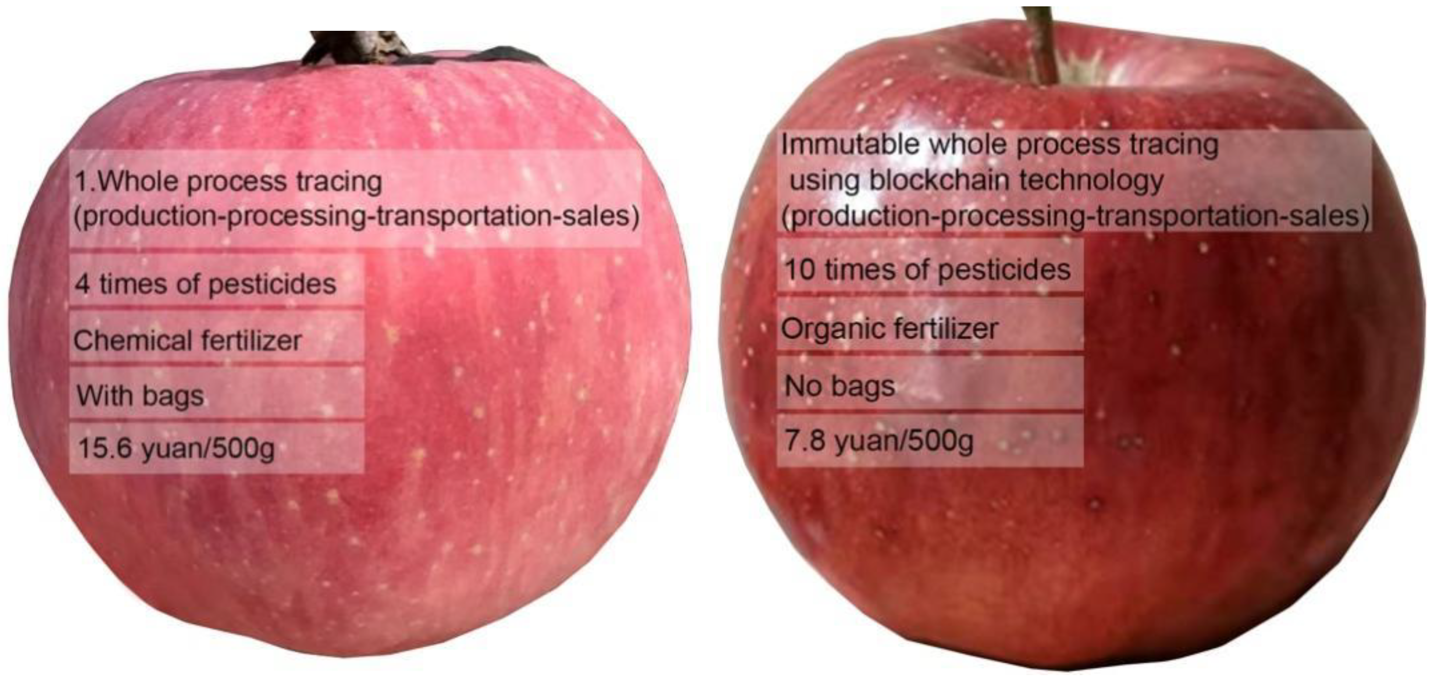 China 2021 new fresh fruits red Fuji apples Manufacture and Factory