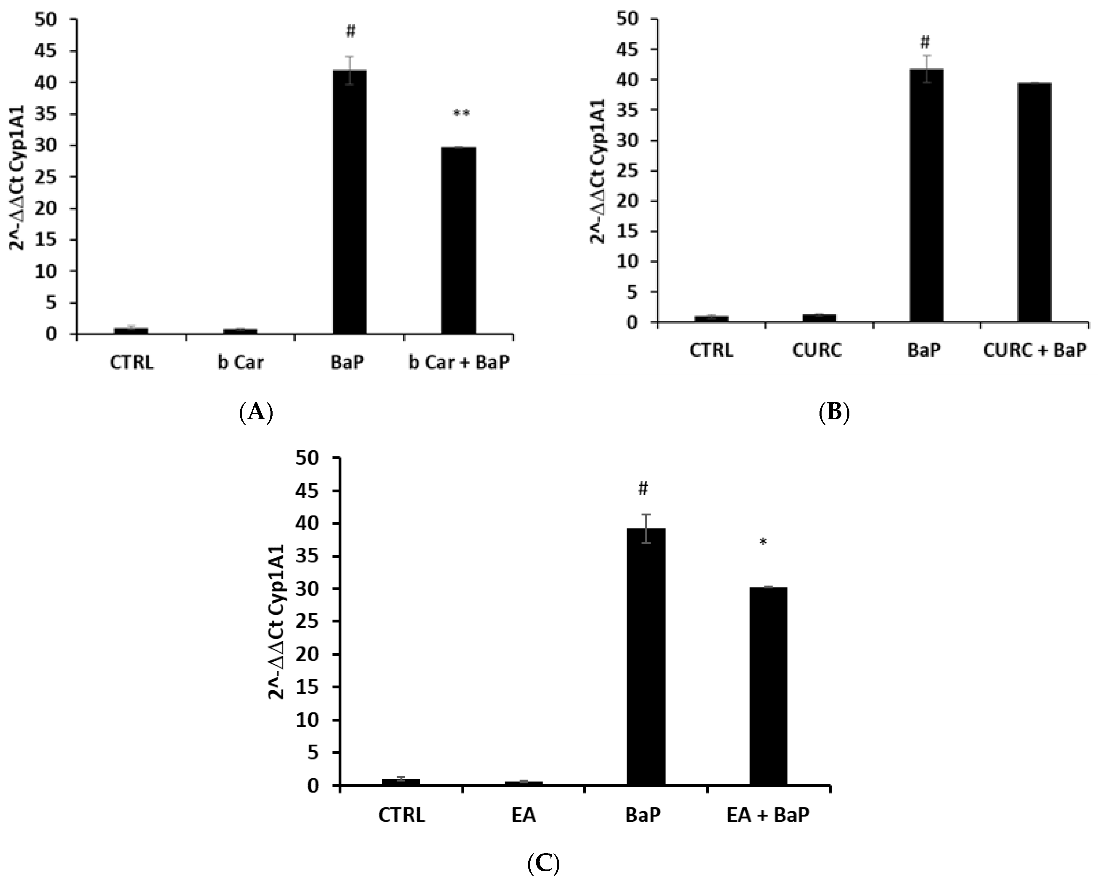 Foods 12 01953 g005 Foods 12 01953 g005