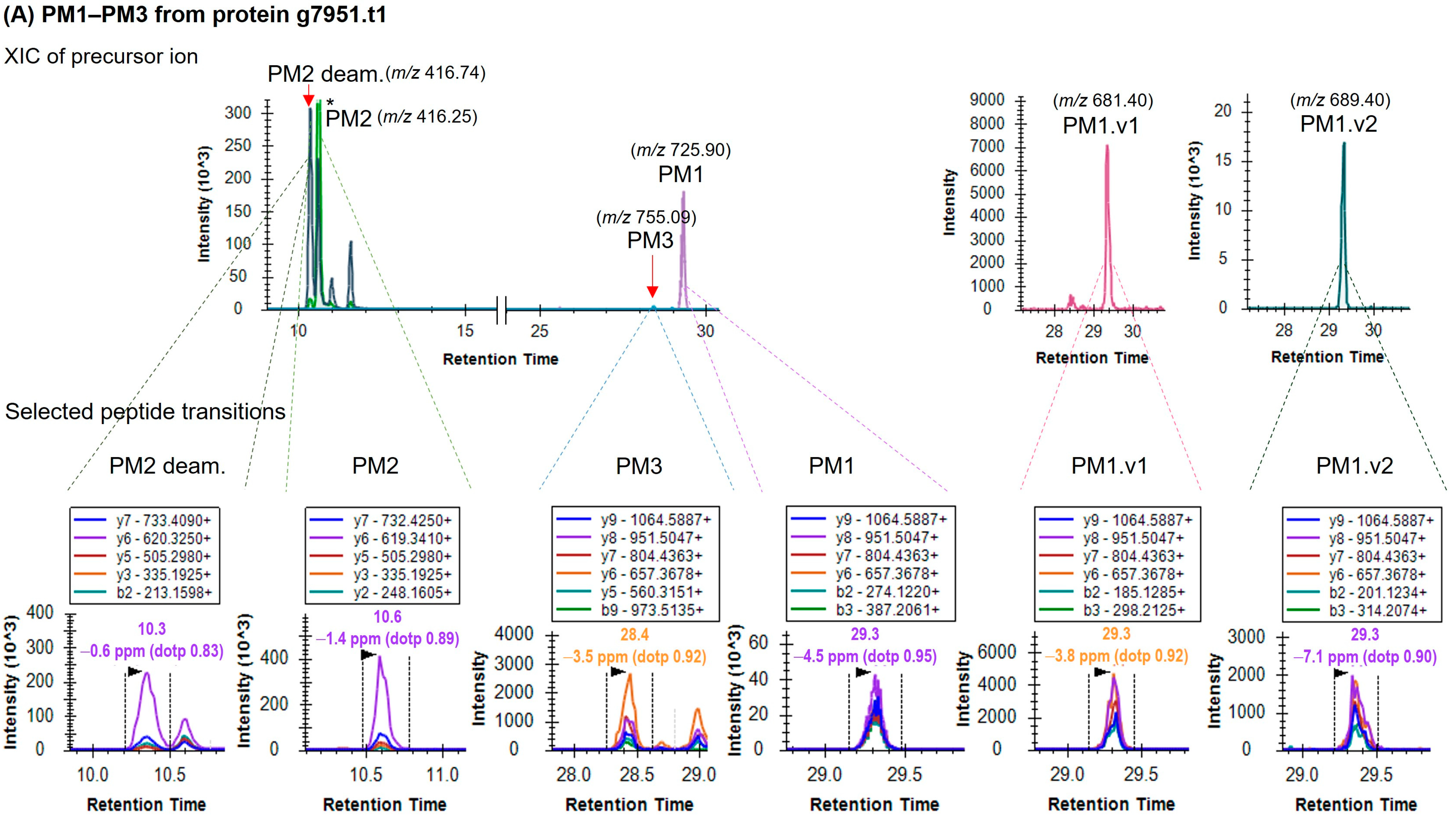 Foods 12 01968 g001a