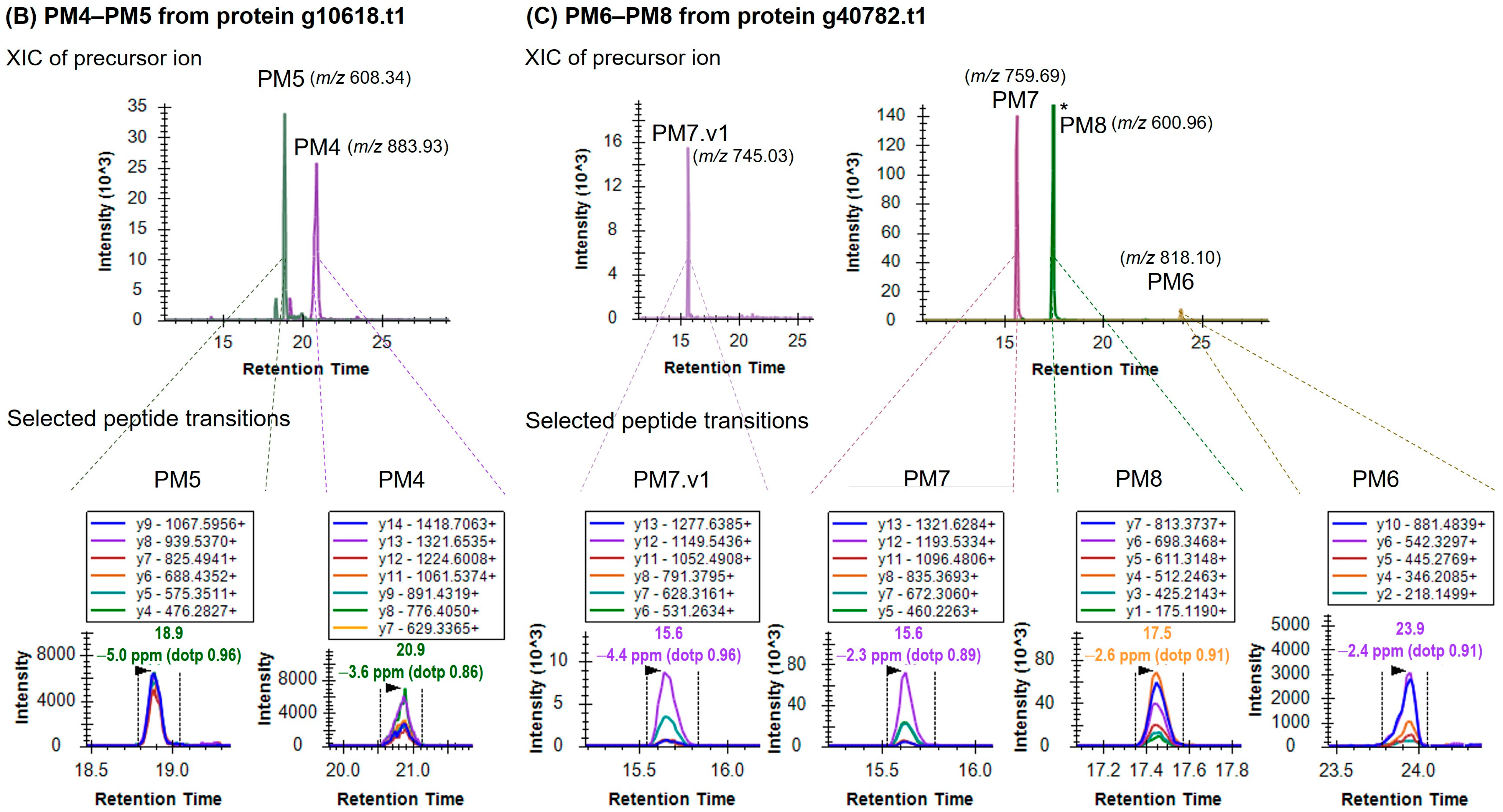 Foods 12 01968 g001b