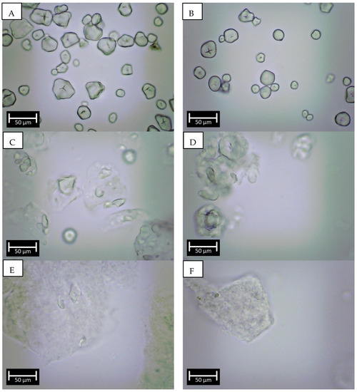 Foods | Free Full-Text | Physicochemical and In Vitro Starch Residual ...