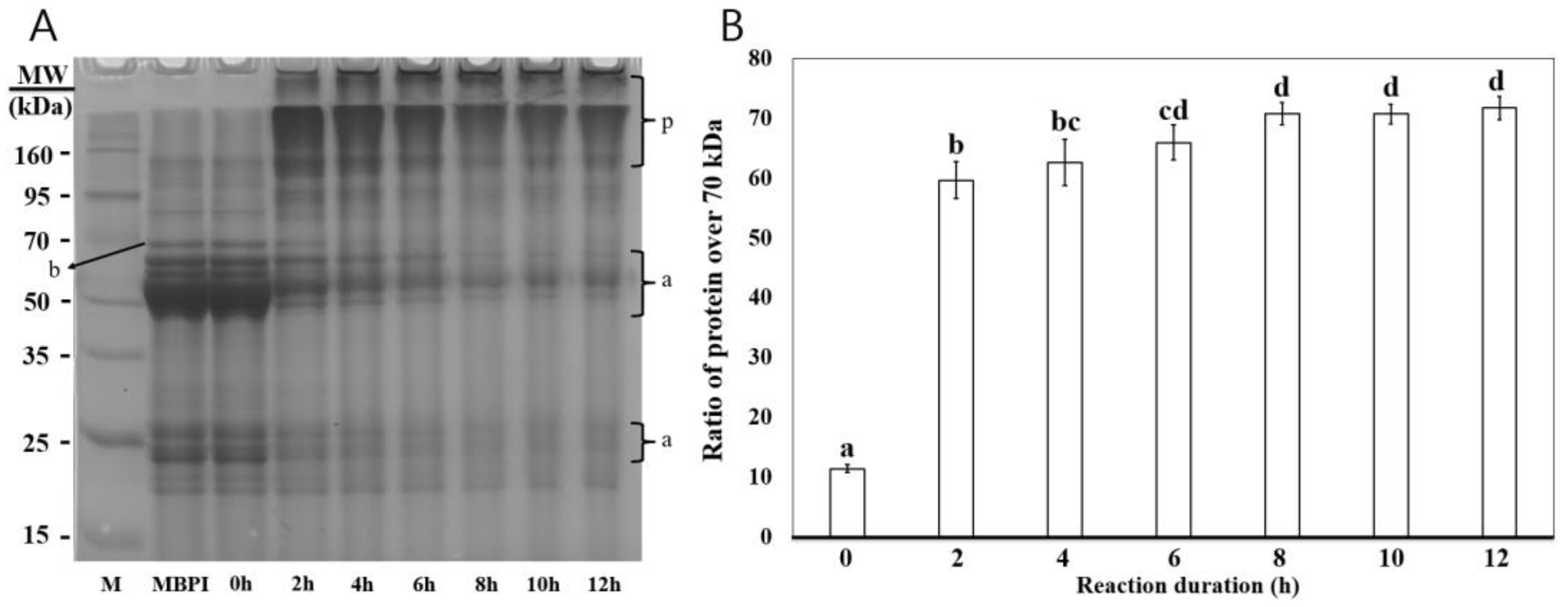 Foods 12 01998 g001 Foods 12 01998 g001