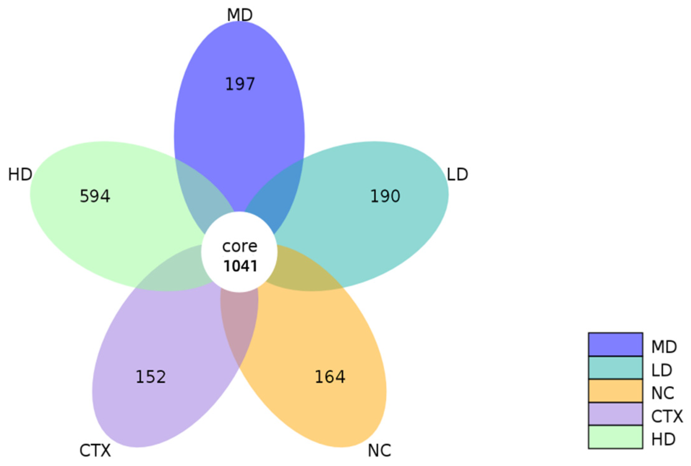 Structural Characteristics and Immunomodulatory Effects of Melanoidins ...