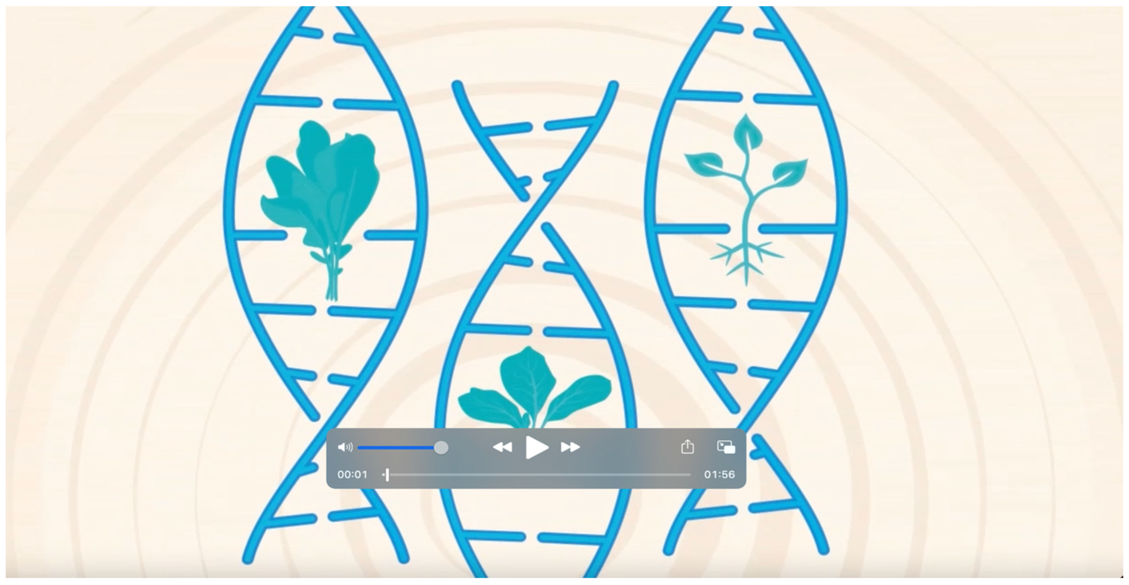 Foods 12 02130 g0a2 Foods 12 02130 g0a2