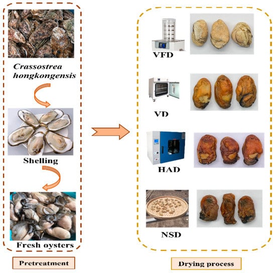 https://www.mdpi.com/foods/foods-12-02136/article_deploy/html/images/foods-12-02136-g001-550.jpg