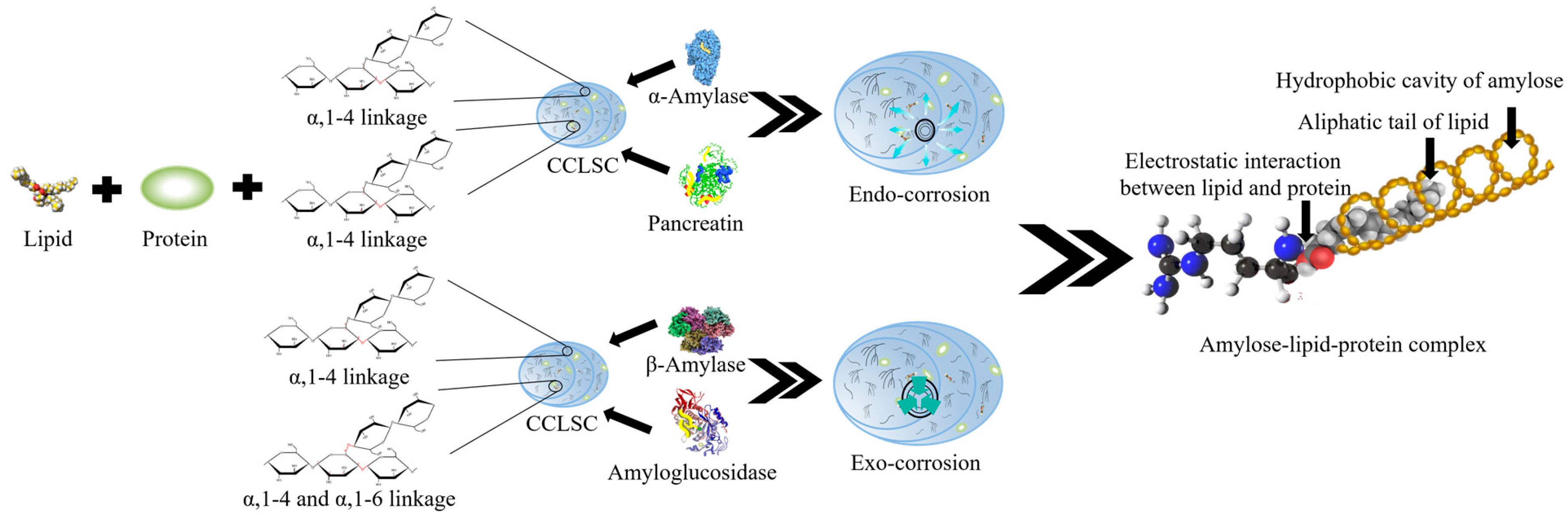 Foods 12 02150 g001 Foods 12 02150 g001