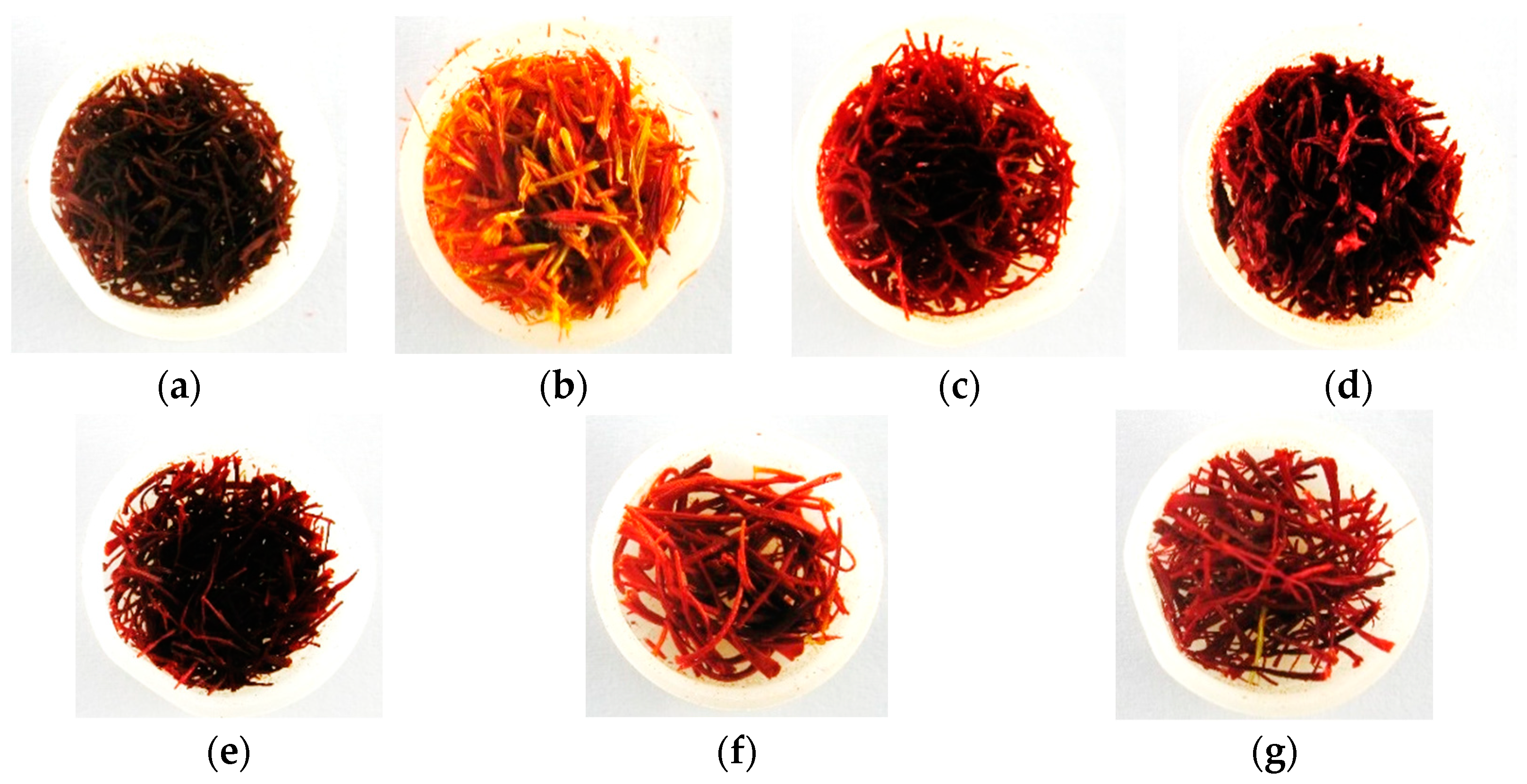 Safflower vs. Saffron: Showing The Differences and Contrasts