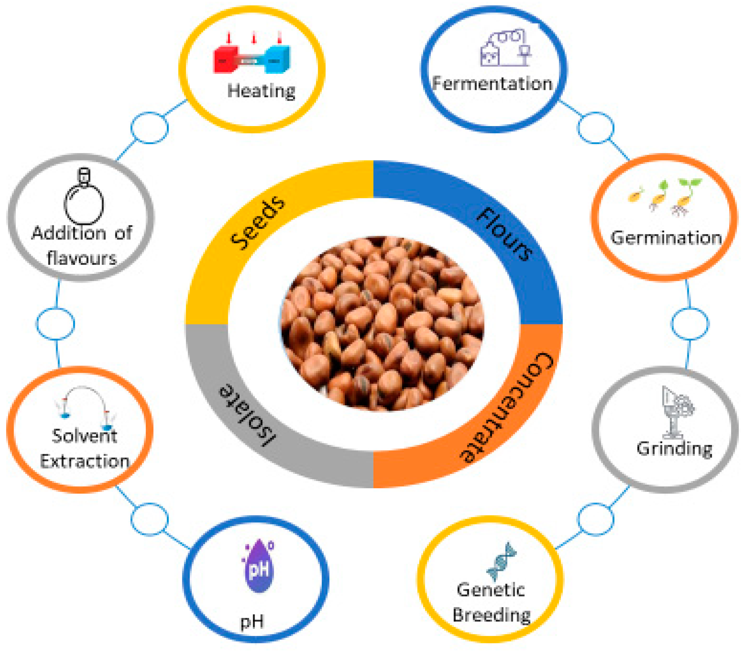Foods | Free Full-Text | Faba Bean Flavor Effects from Processing to  Consumer Acceptability