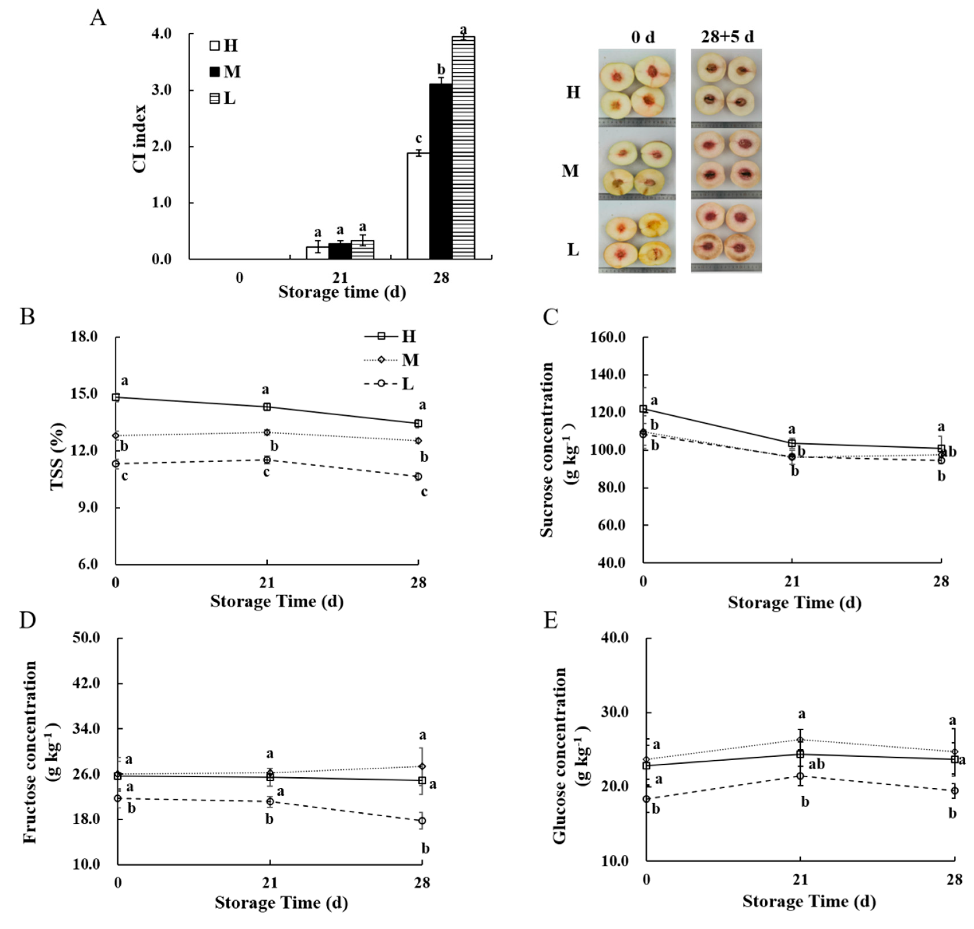 Transcriptomic and Metabolic Analyses Provide New Insights into the Apple  Fruit Quality Decline during Long-Term Cold Storage