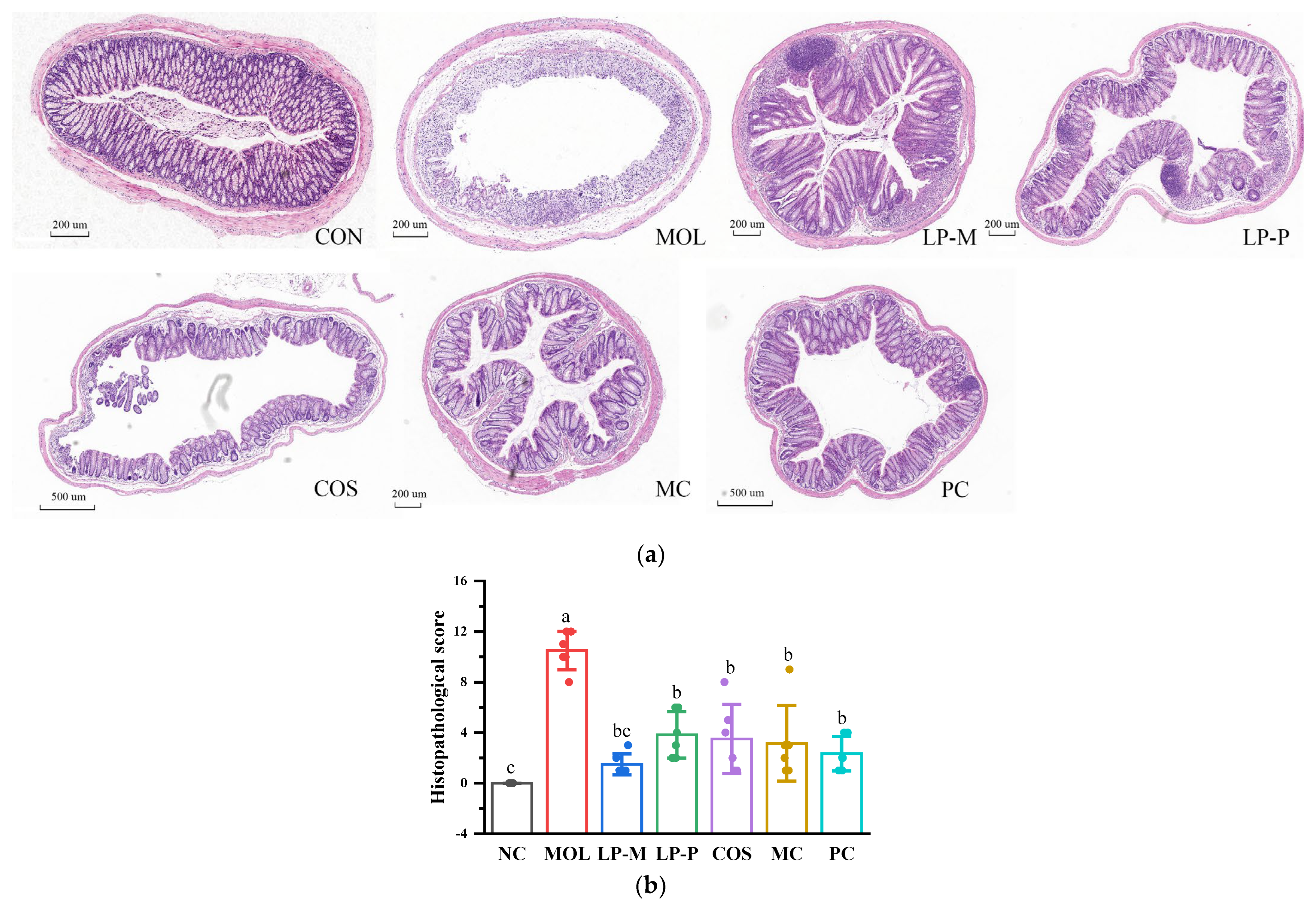 Foods 12 02251 g002 Foods 12 02251 g002