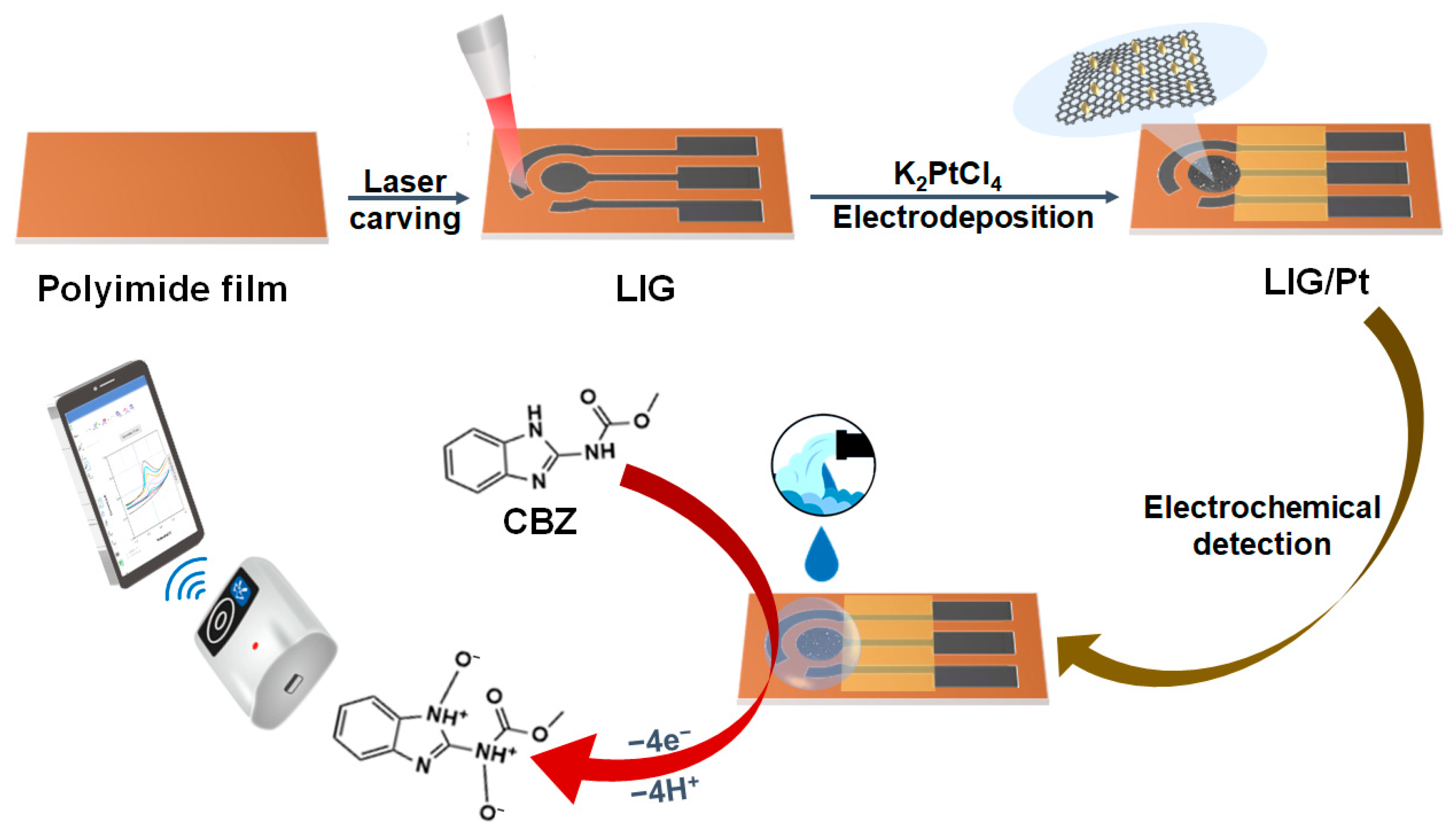 Foods | Free Full-Text | Electrochemical Sensor Based on Laser-Induced  Graphene for Carbendazim Detection in Water
