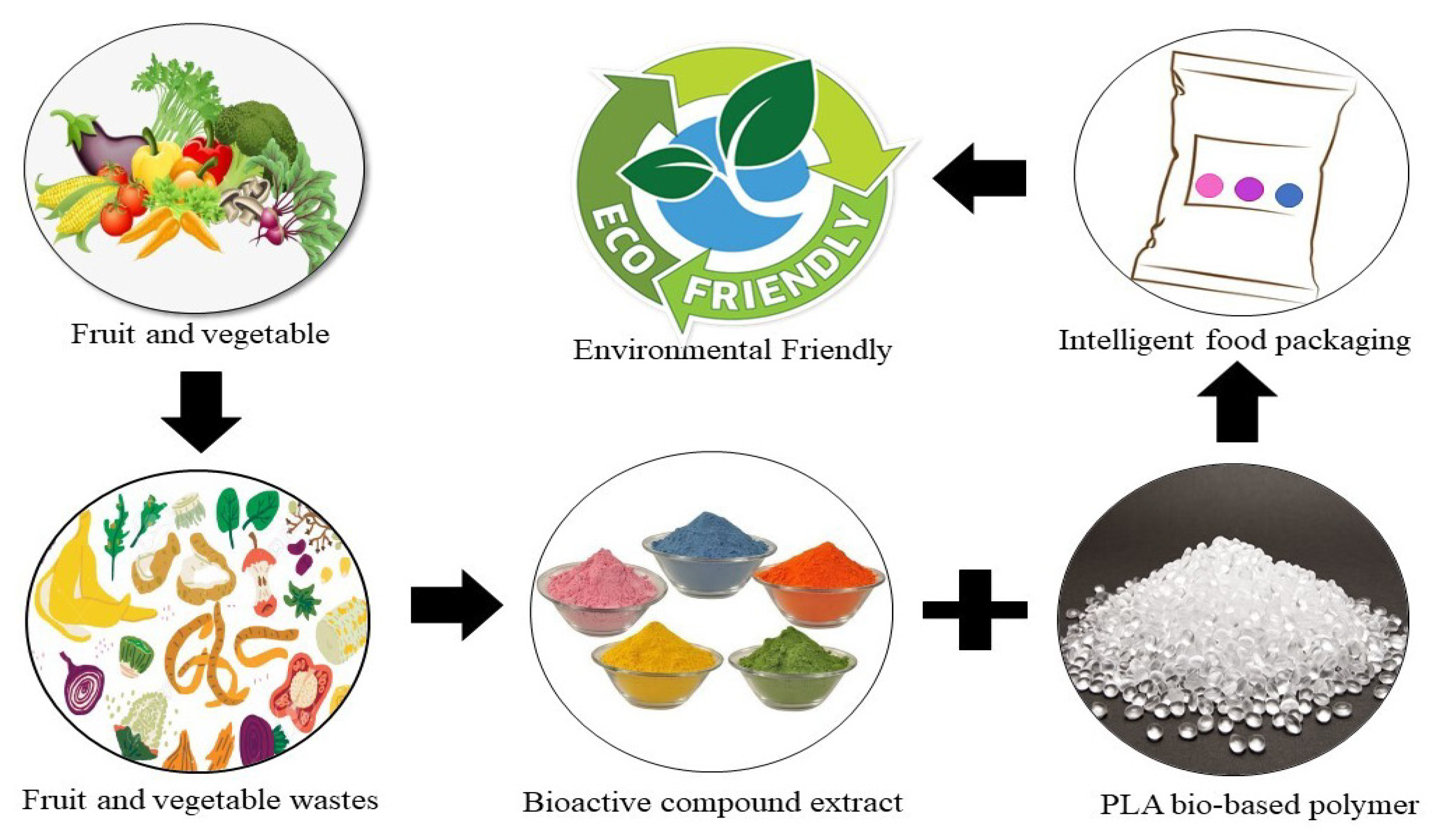 https://www.mdpi.com/foods/foods-12-02387/article_deploy/html/images/foods-12-02387-g005.png