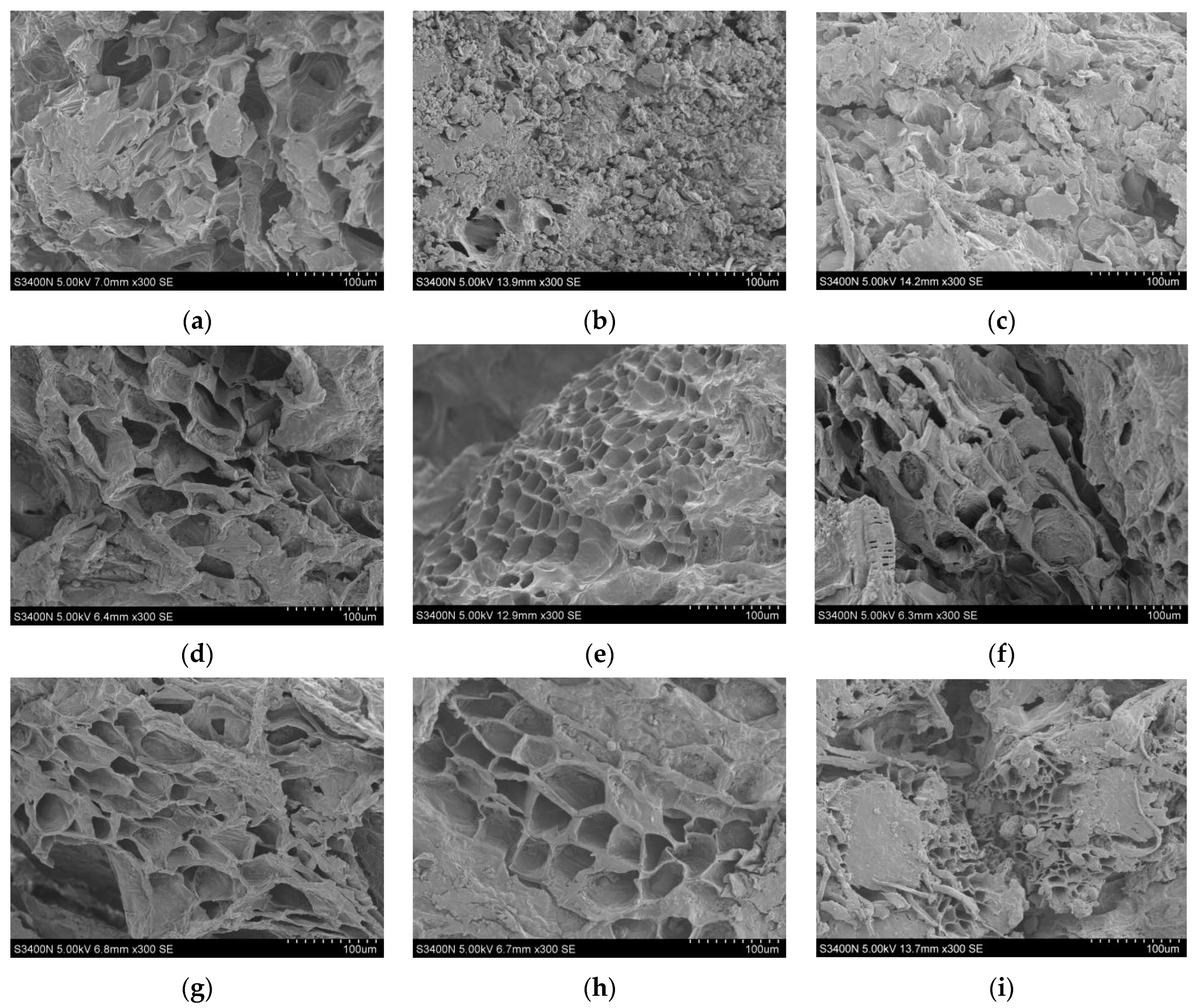 Foods 12 02414 g005 Foods 12 02414 g005