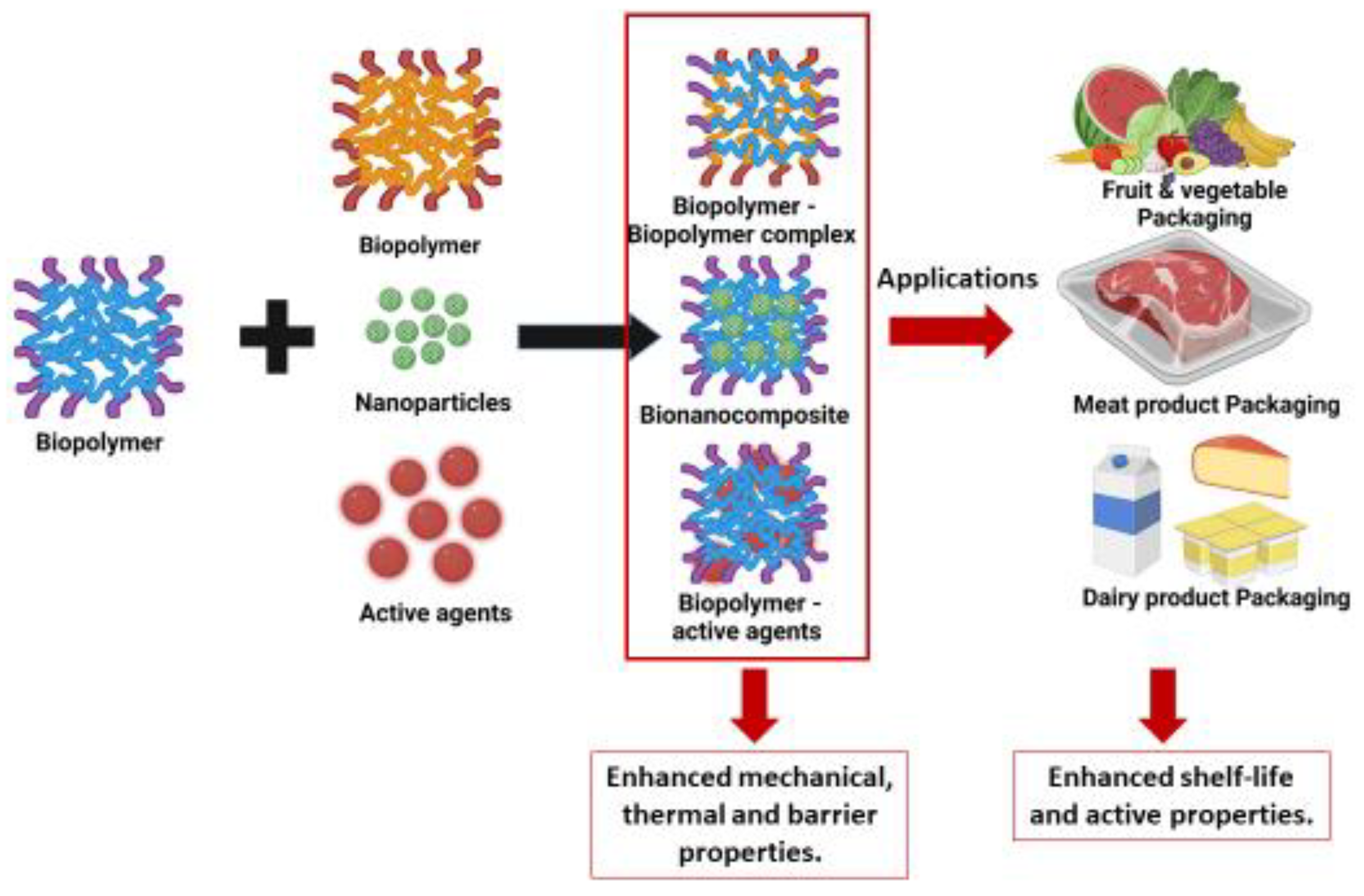 Flexible food Packaging, Biopolymers Food Packaging