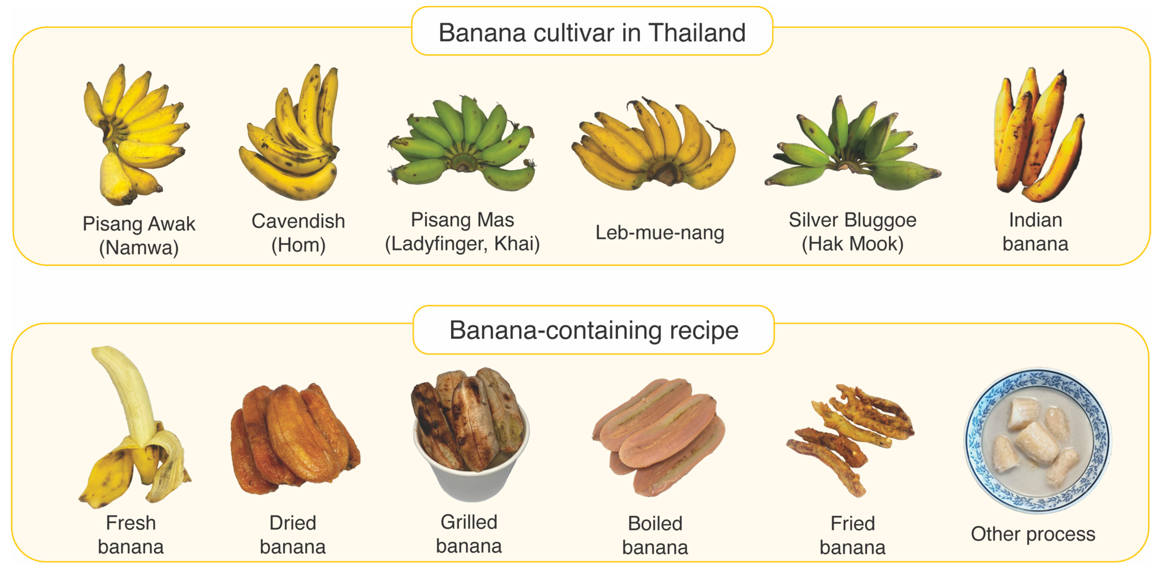 https://www.mdpi.com/foods/foods-12-02456/article_deploy/html/images/foods-12-02456-g0A1.png