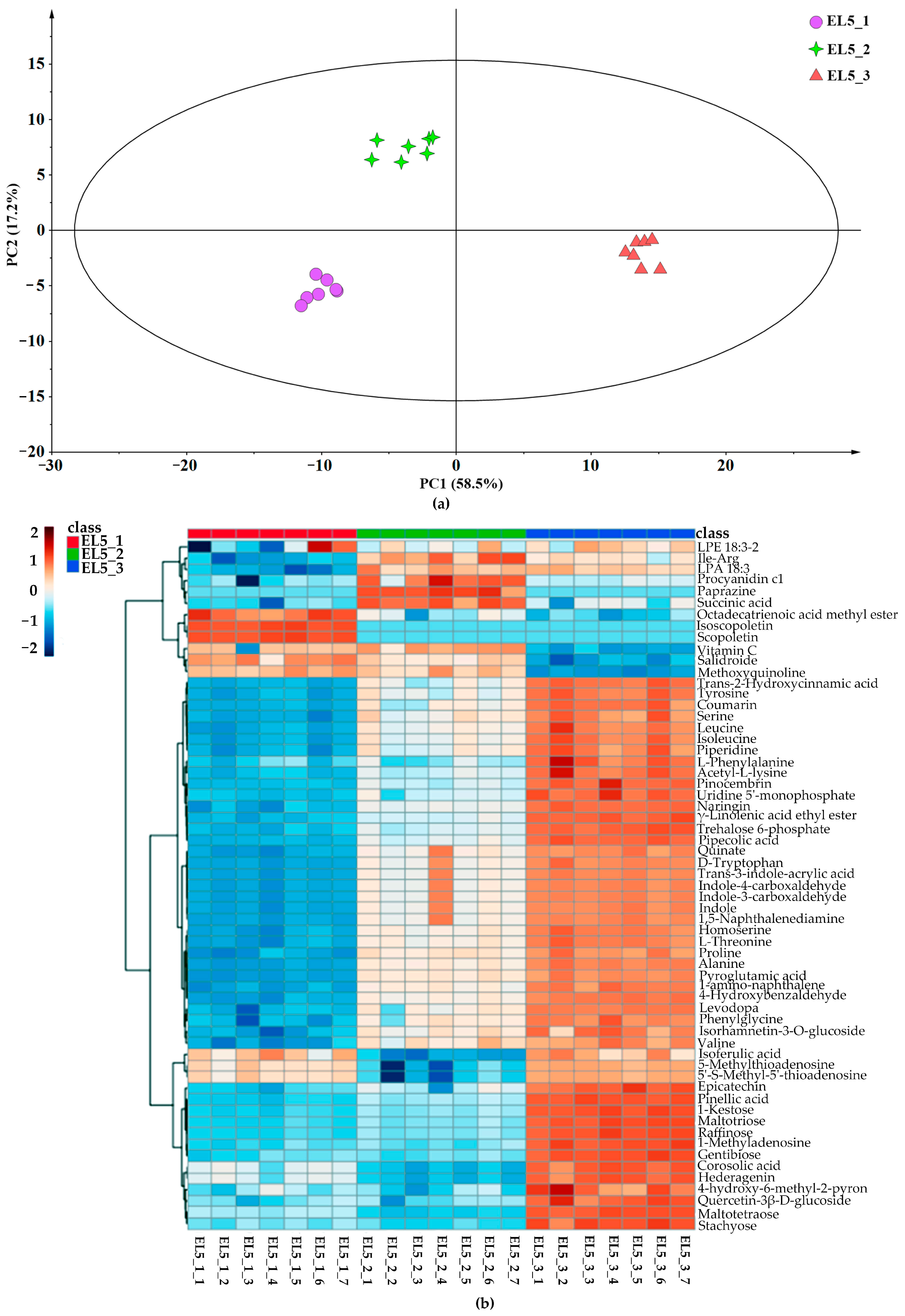 Foods 12 02493 g002a Foods 12 02493 g002a