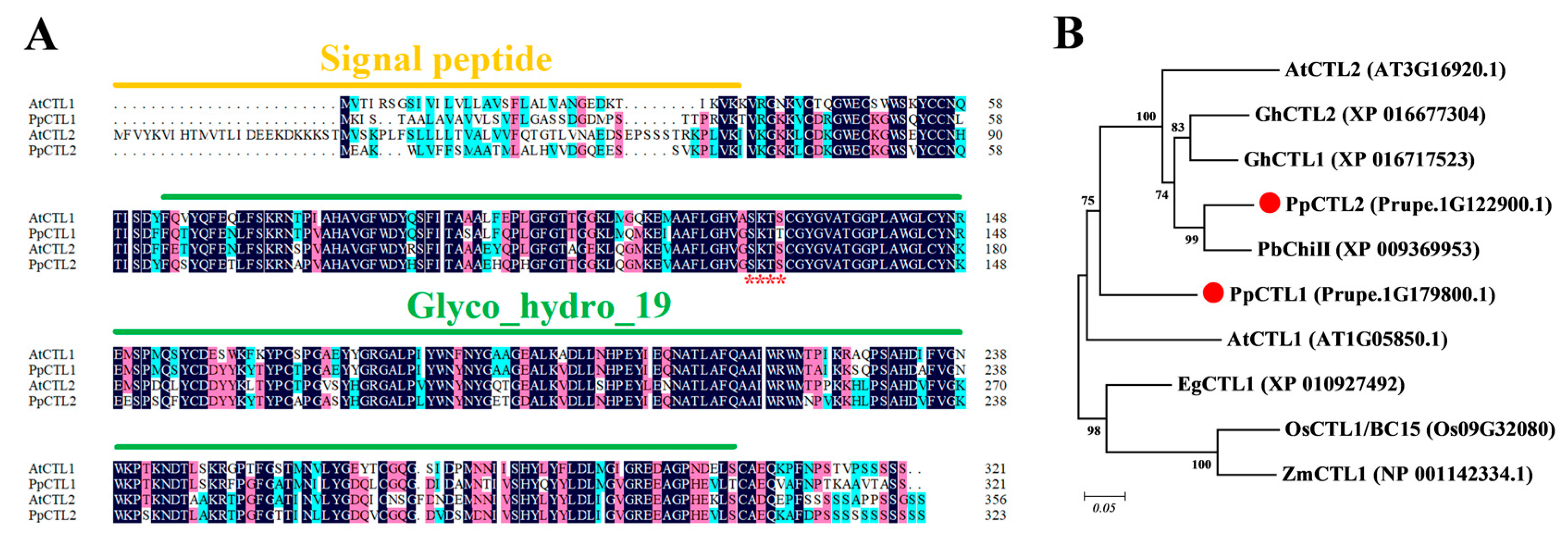 Foods 12 02503 g002 Foods 12 02503 g002