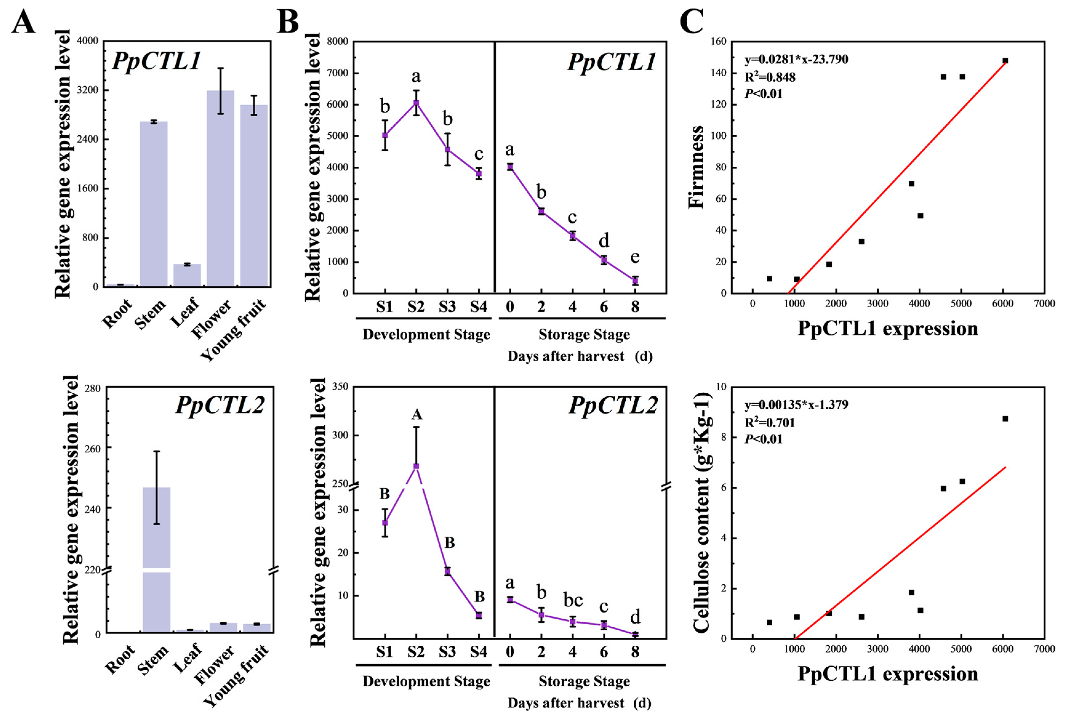 Foods 12 02503 g003 Foods 12 02503 g003