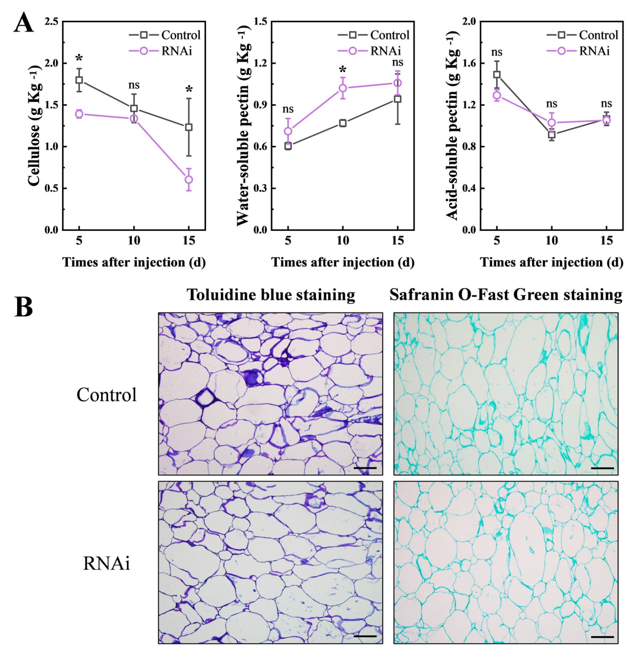 Foods 12 02503 g005 Foods 12 02503 g005