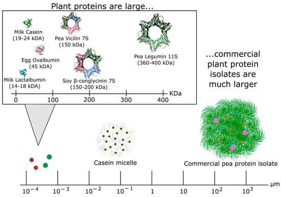 Foods | Free Full-Text | Applications of Enzyme Technology to