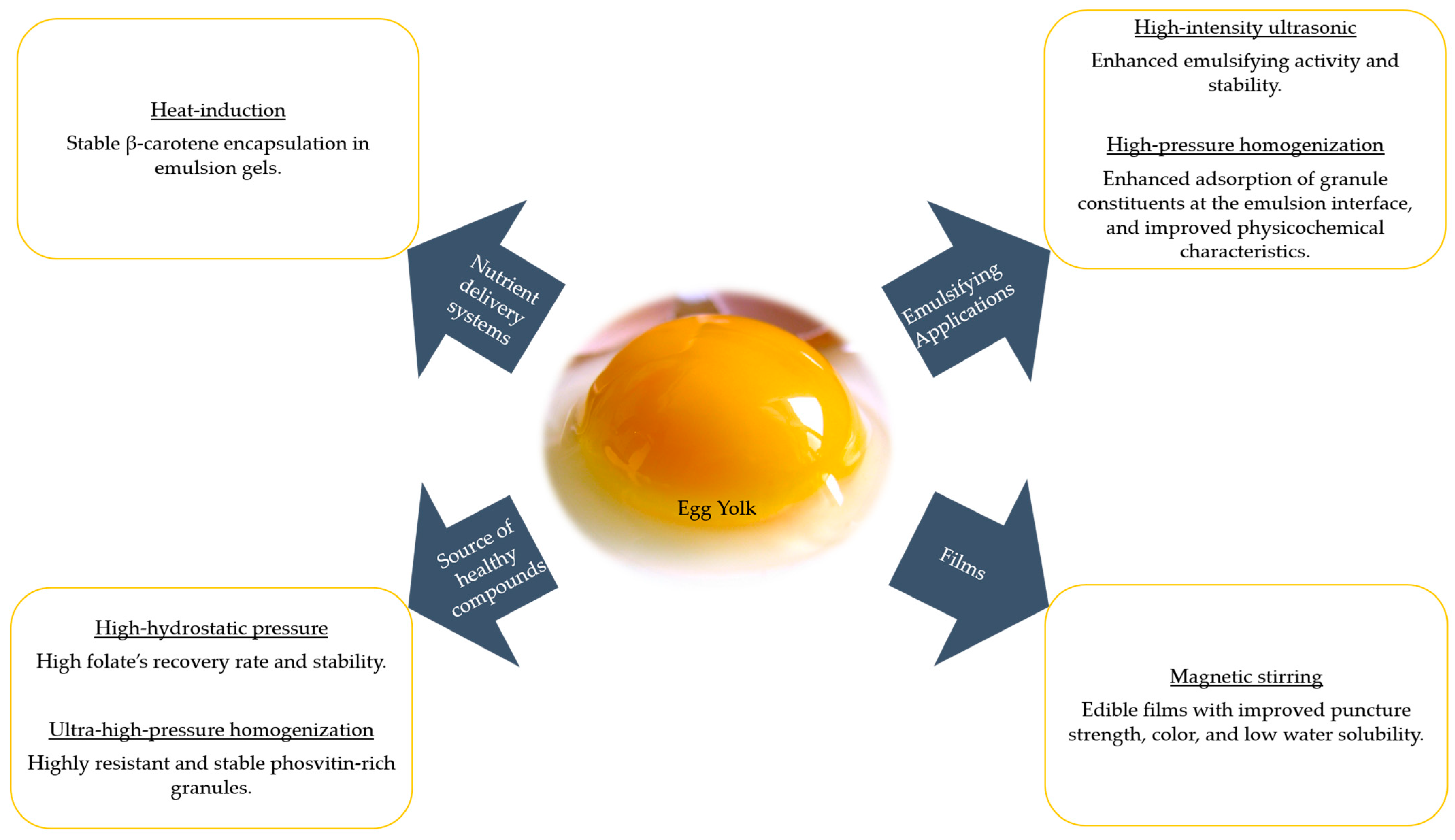 Amount of yolk and its distribution are changed in the egg. Which one is  affected