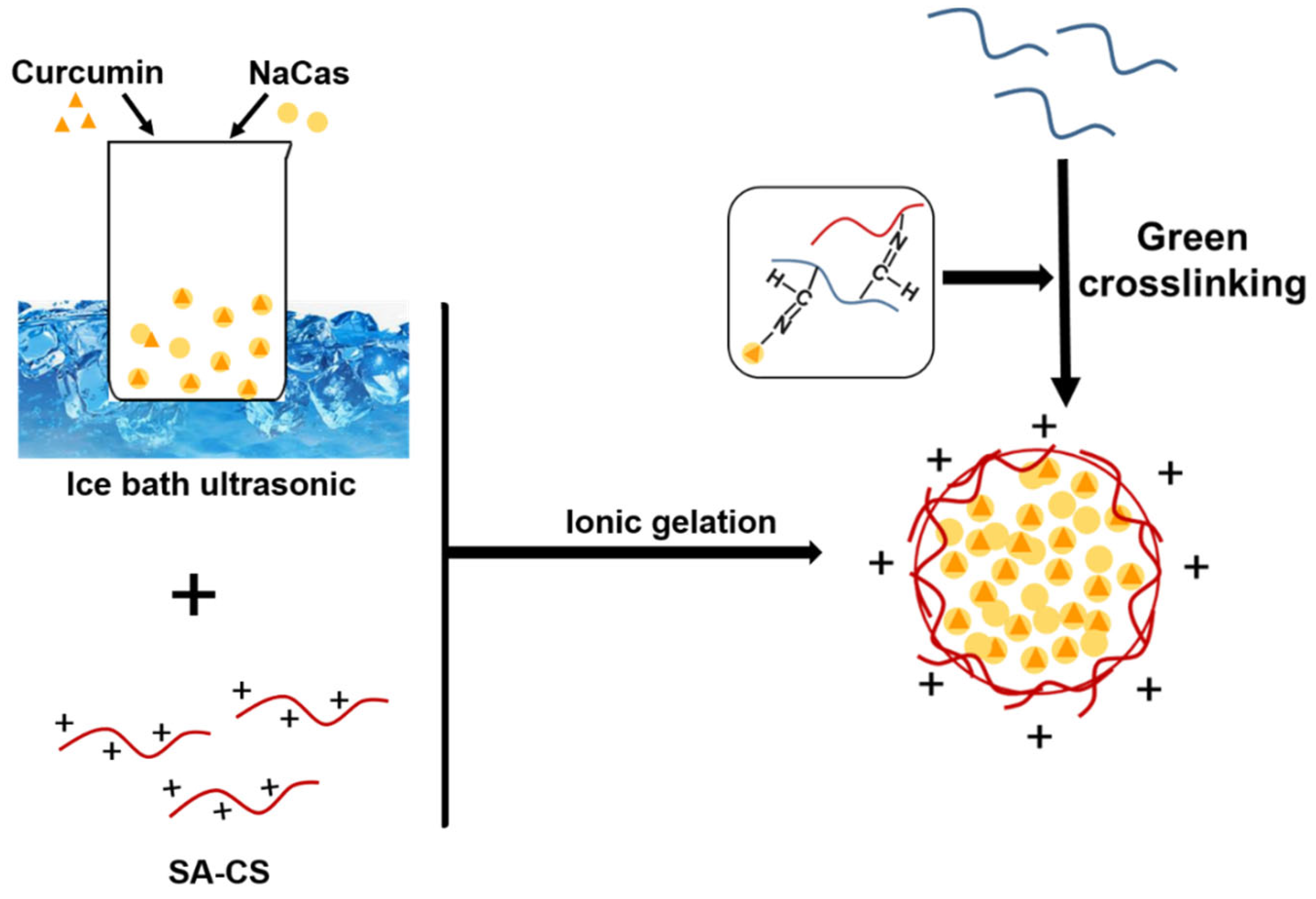 Foods 12 02533 g003 Foods 12 02533 g003