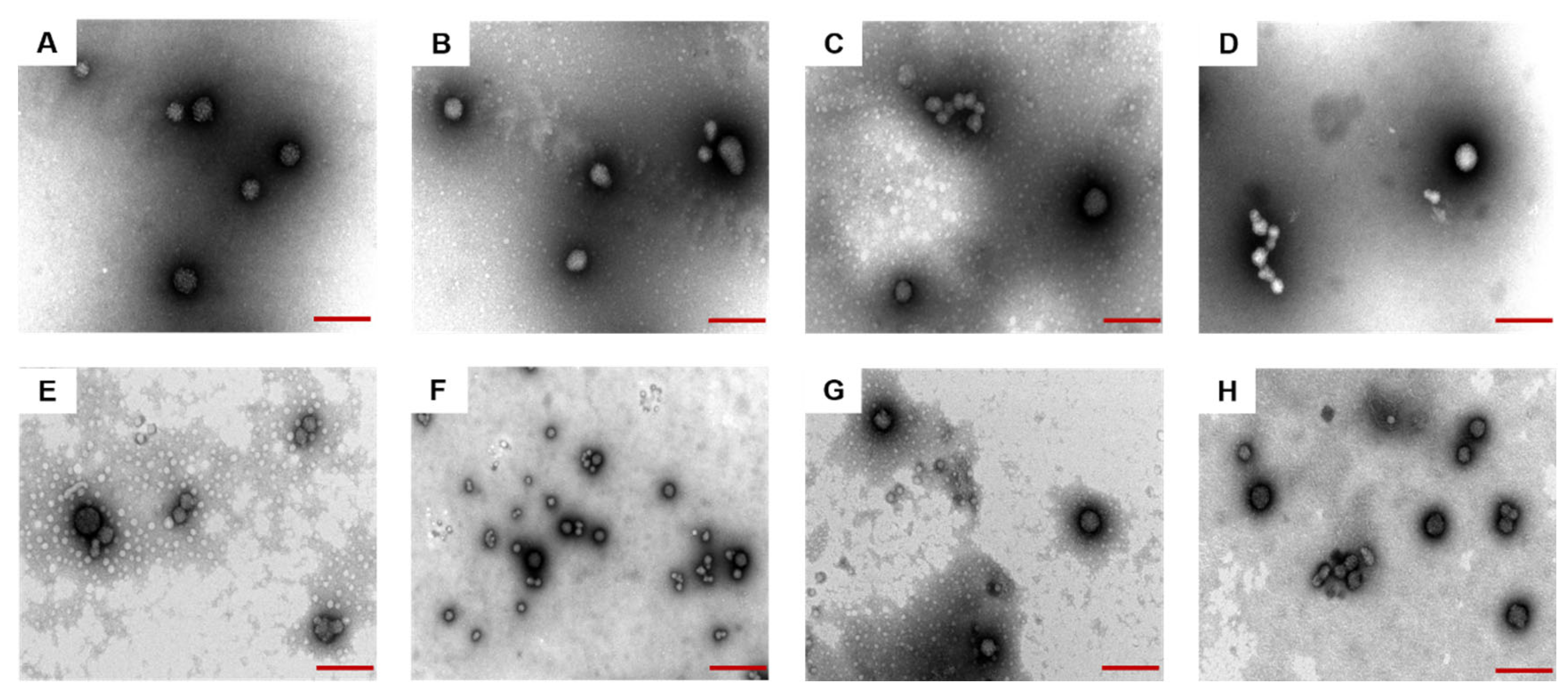 Foods 12 02533 g006 Foods 12 02533 g006