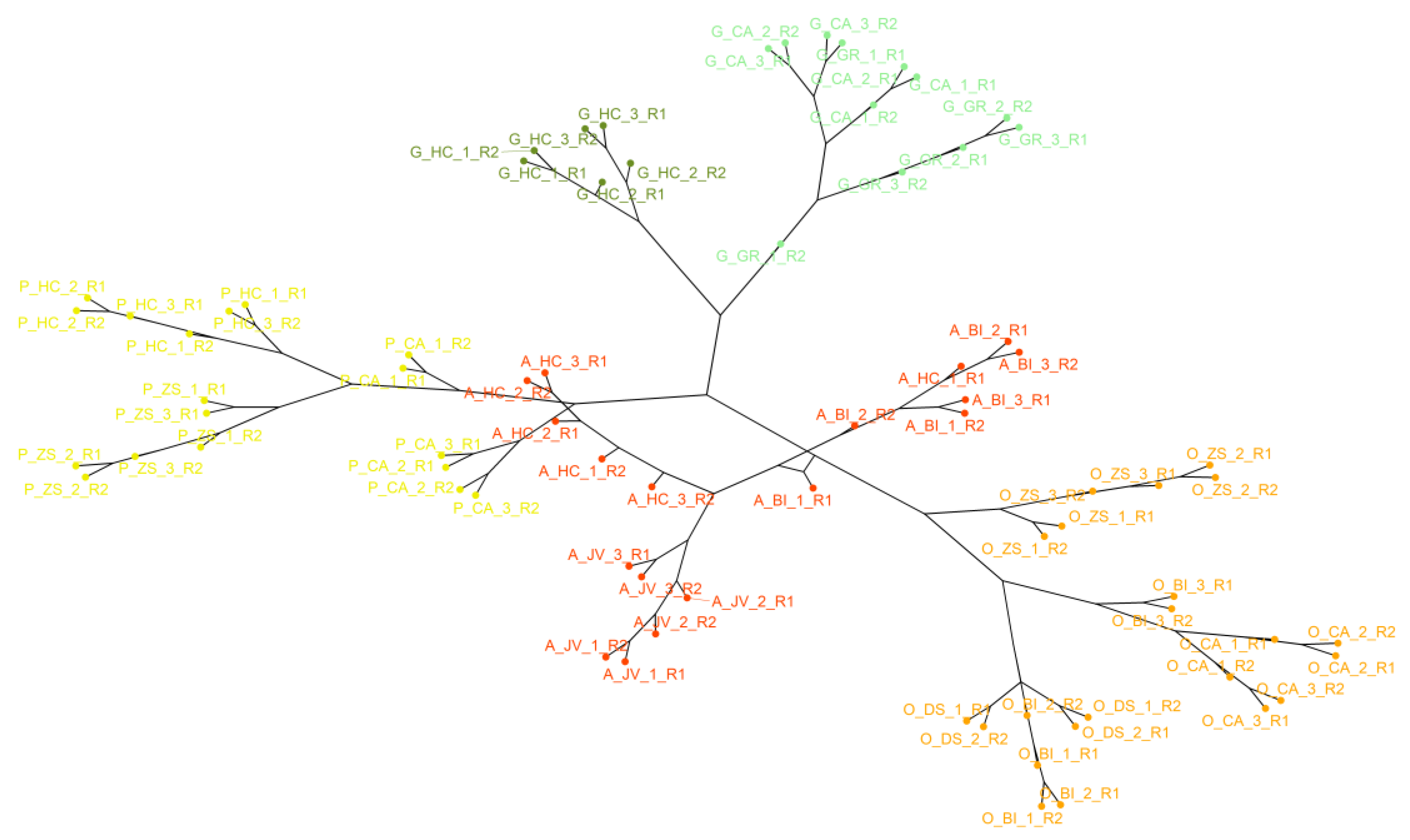 Foods 12 02536 g002 Foods 12 02536 g002