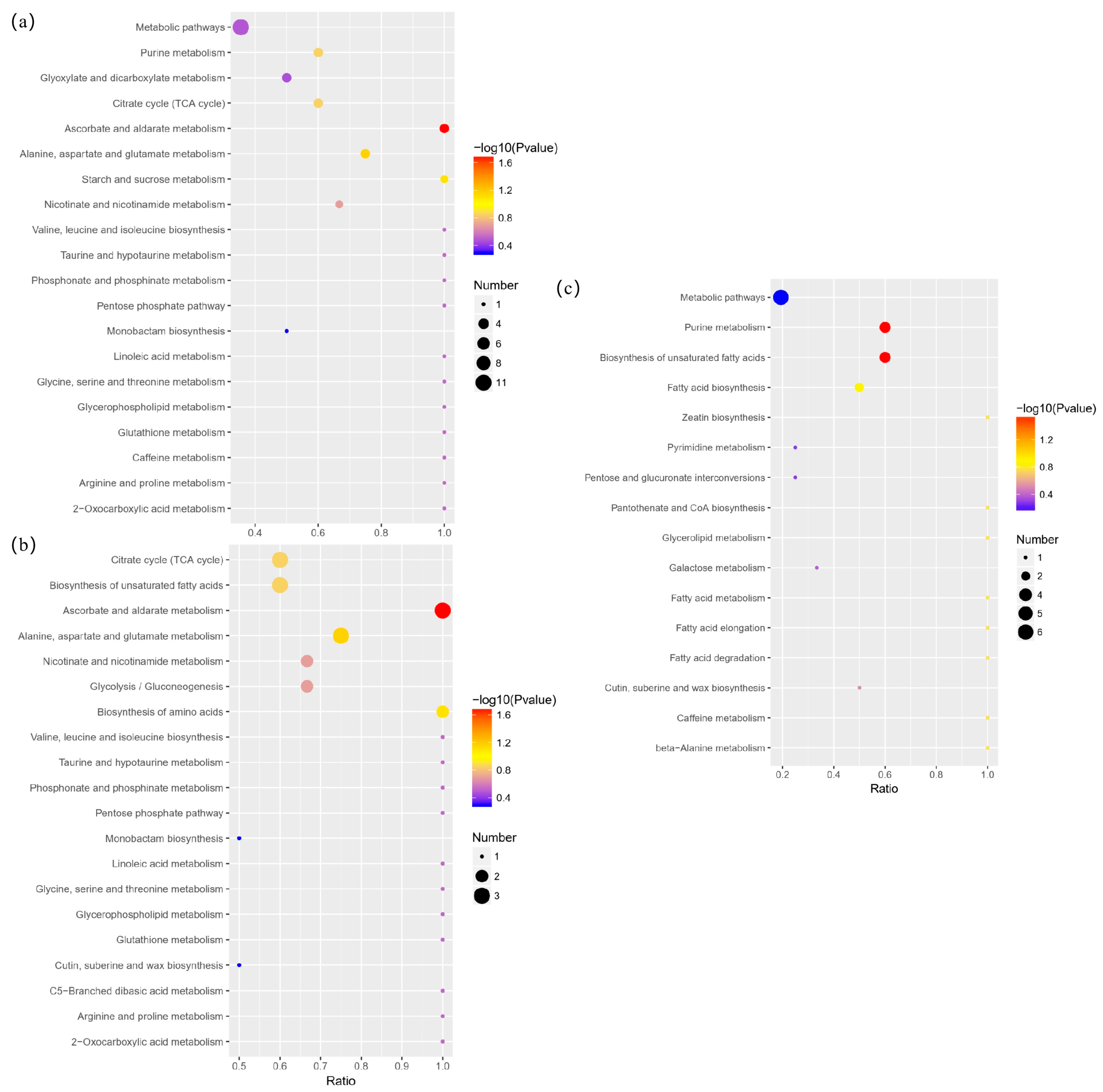Foods 12 02578 g008 Foods 12 02578 g008