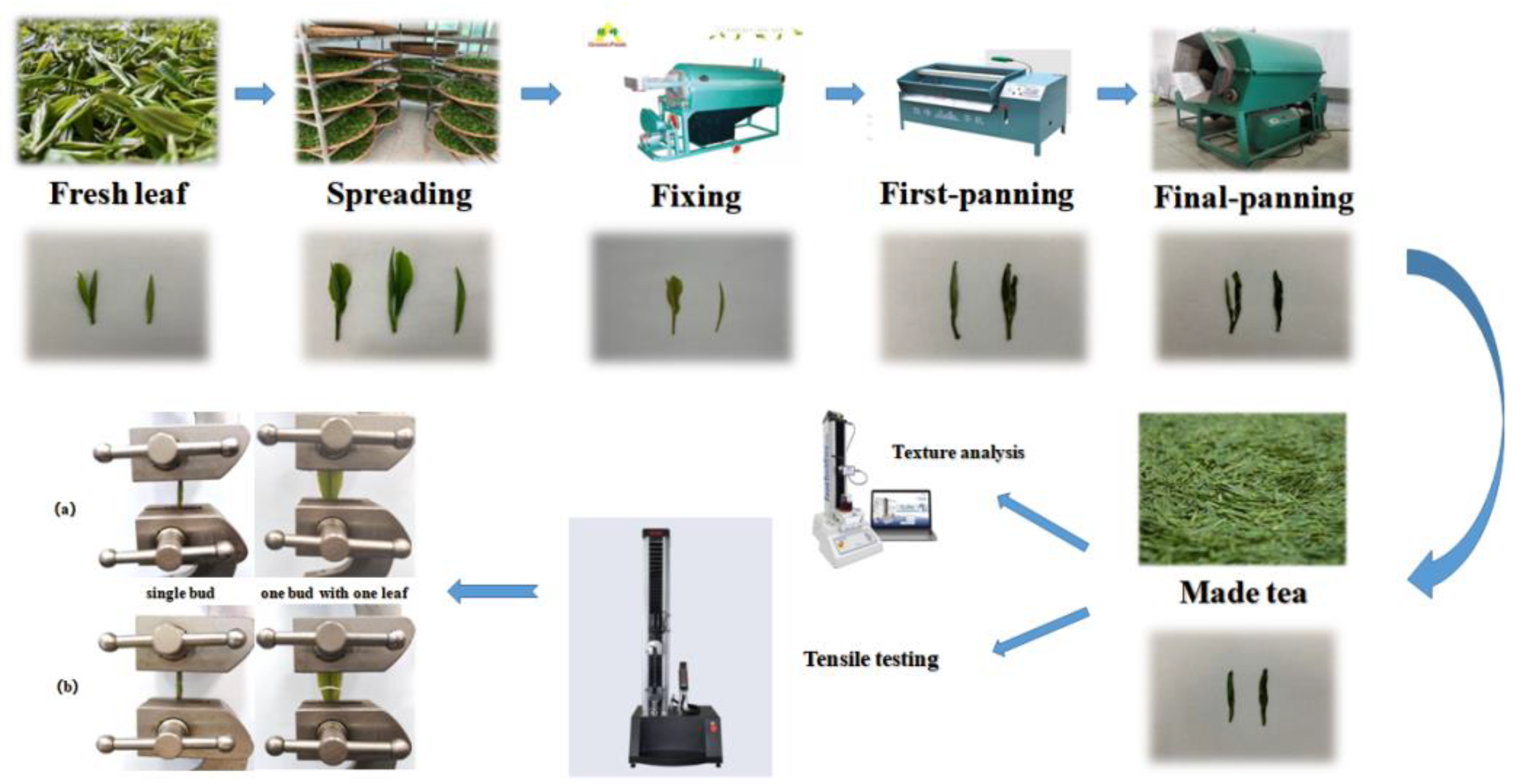 Foods 12 02587 g001 Foods 12 02587 g001