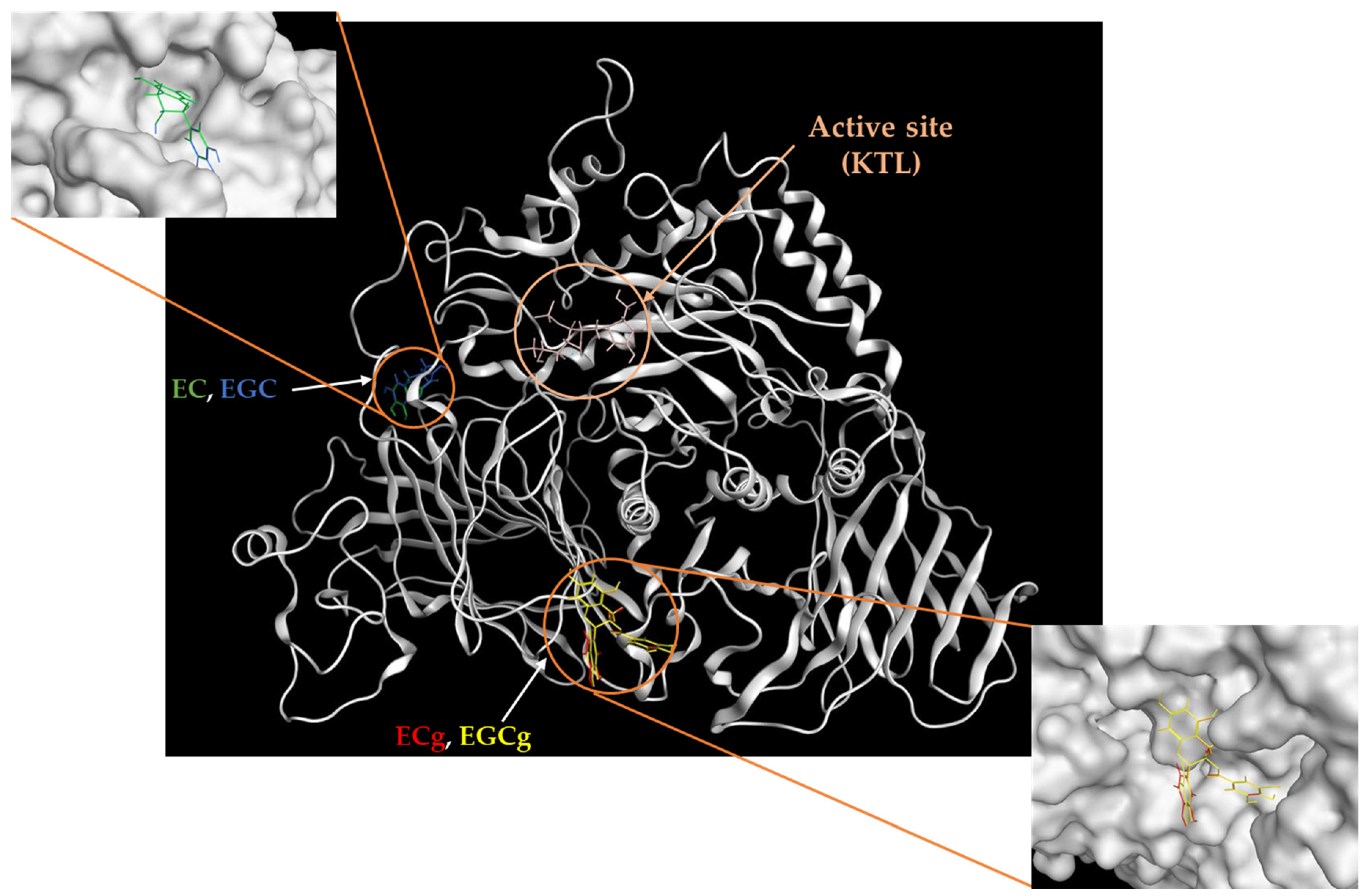 Foods 12 02611 g008 Foods 12 02611 g008