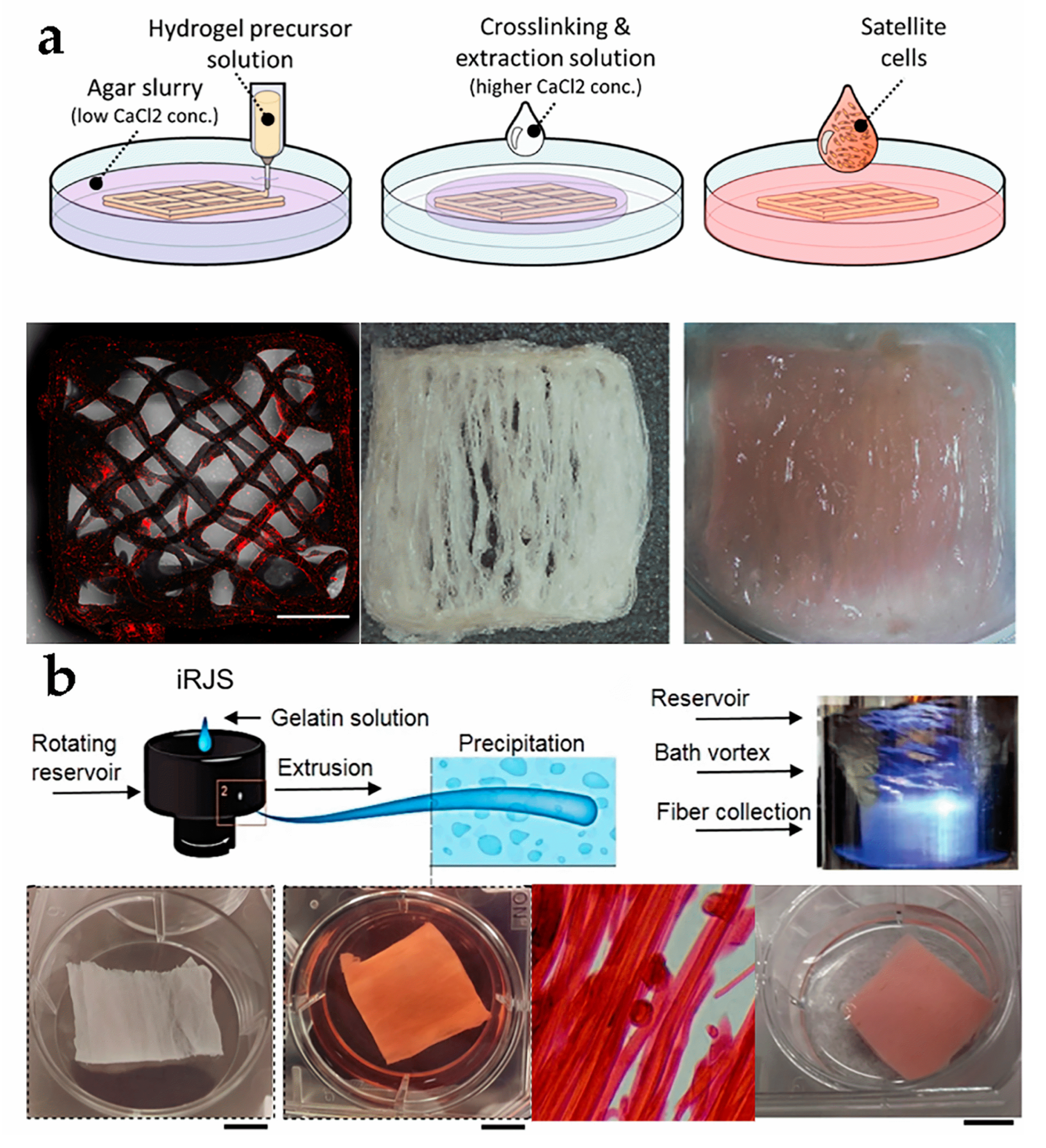 Foods 12 02614 g002 Foods 12 02614 g002