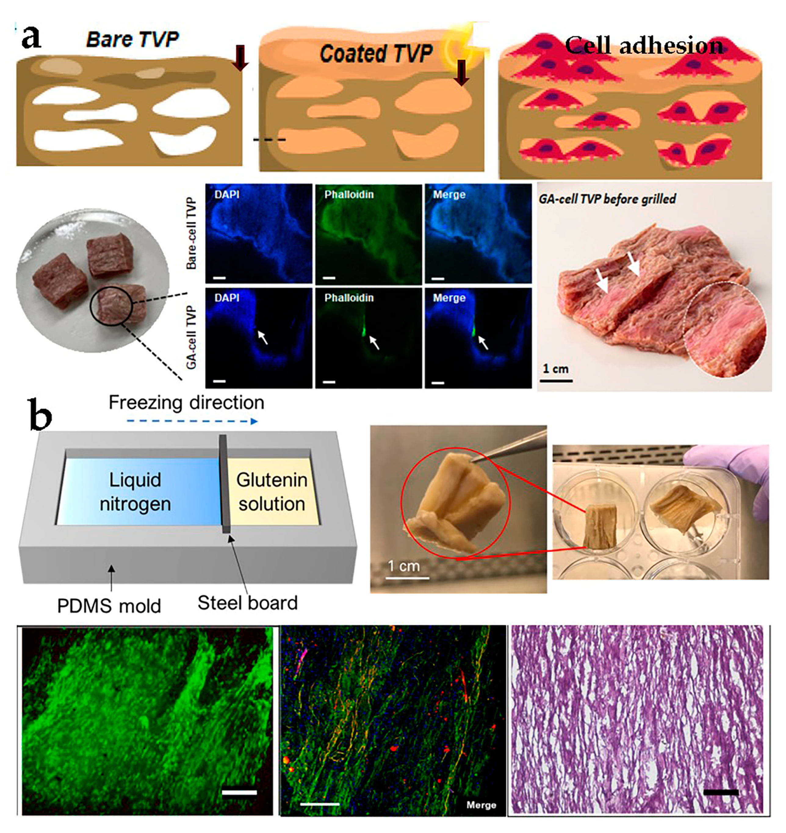 Foods 12 02614 g003 Foods 12 02614 g003