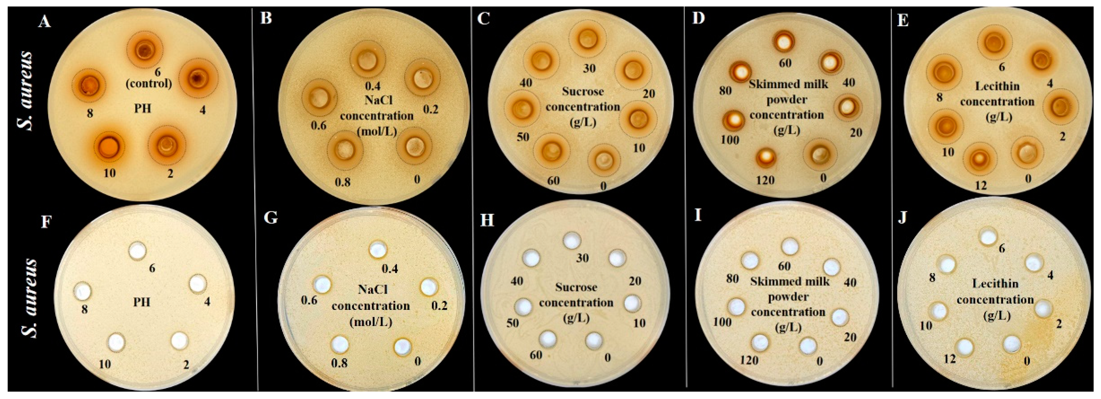 Foods 12 02615 g009 Foods 12 02615 g009