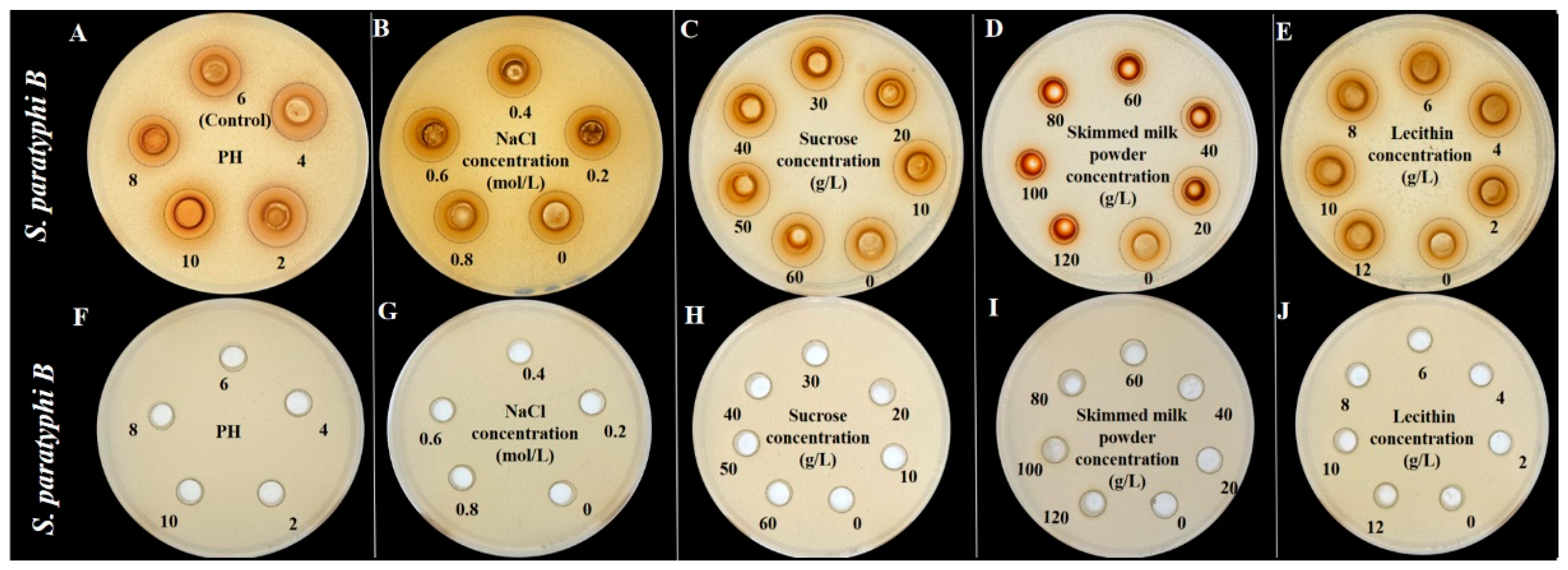 Foods 12 02615 g010 Foods 12 02615 g010