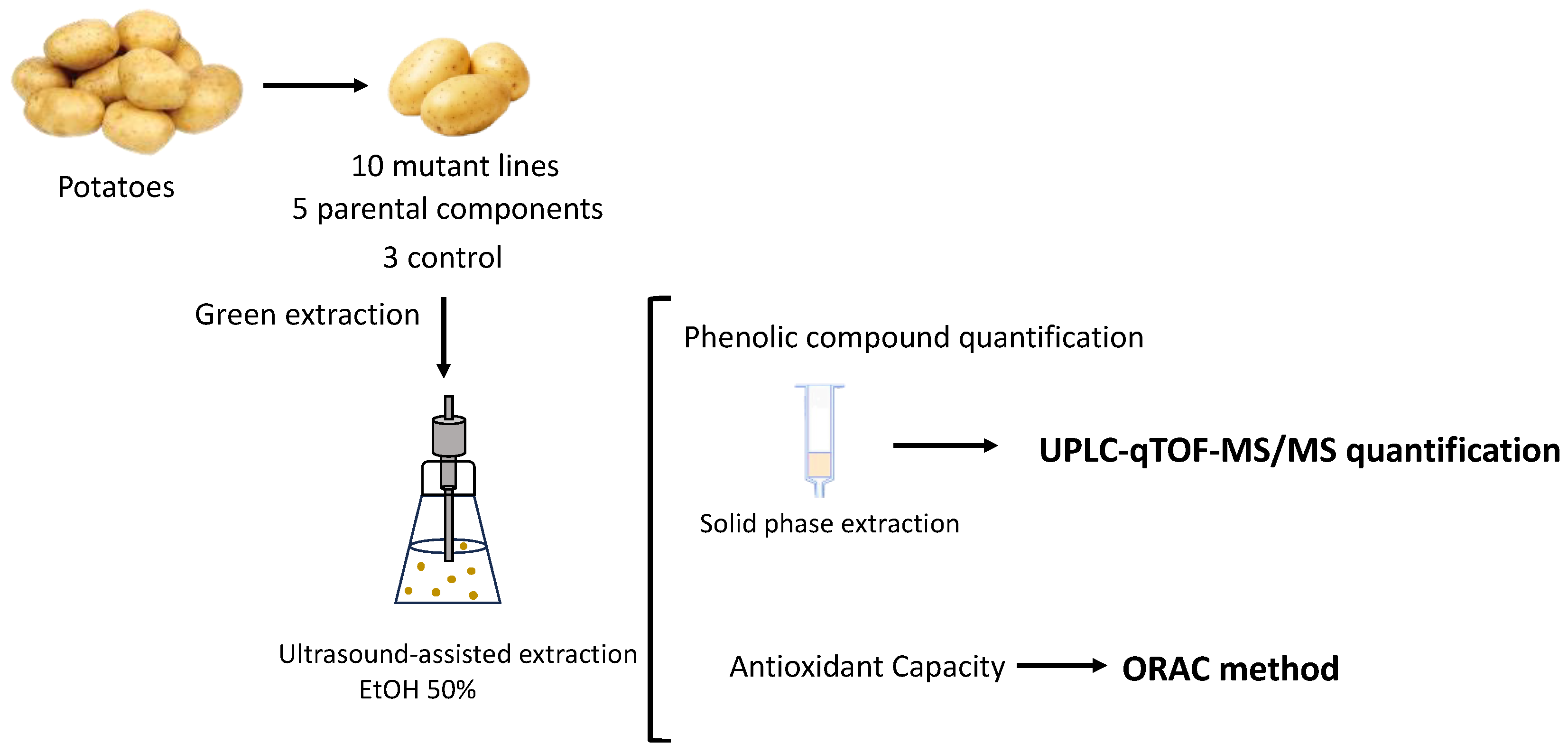 Foods 12 02616 g001 Foods 12 02616 g001
