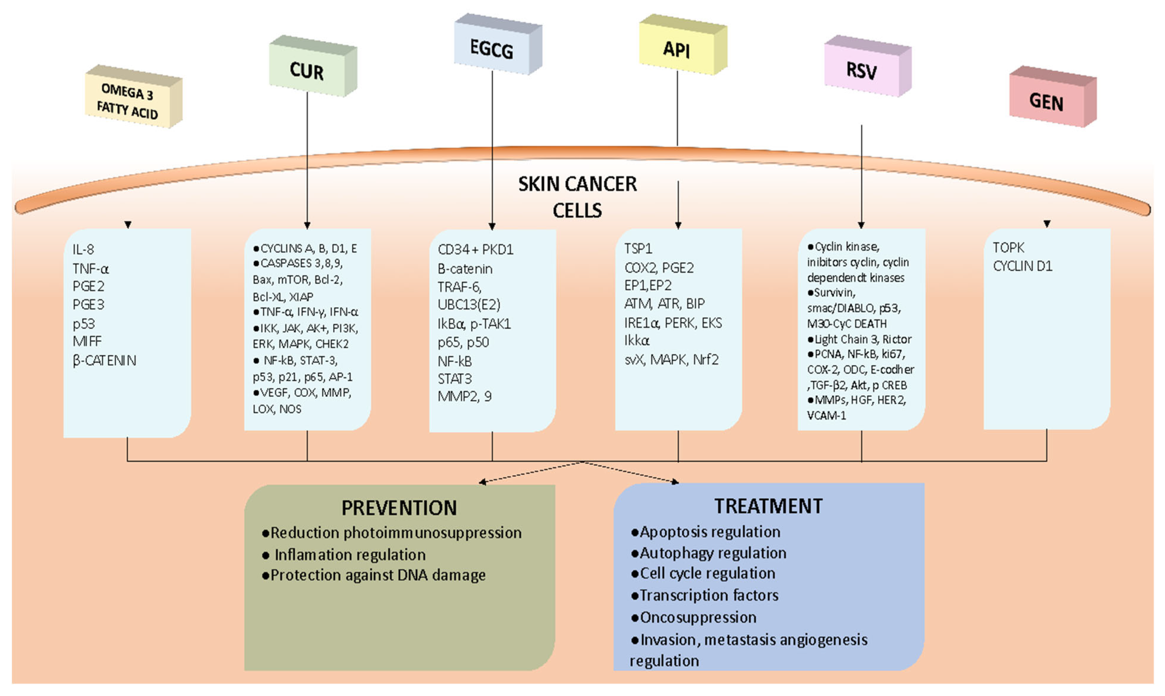 Foods 12 02629 g001 Foods 12 02629 g001